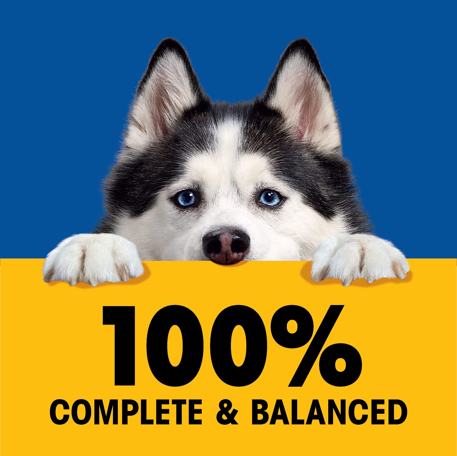 Pedigree High Protein Wet Dog Food Pouches, Variety Pack, 3.5 oz. Pouches,(Pack of 18)
