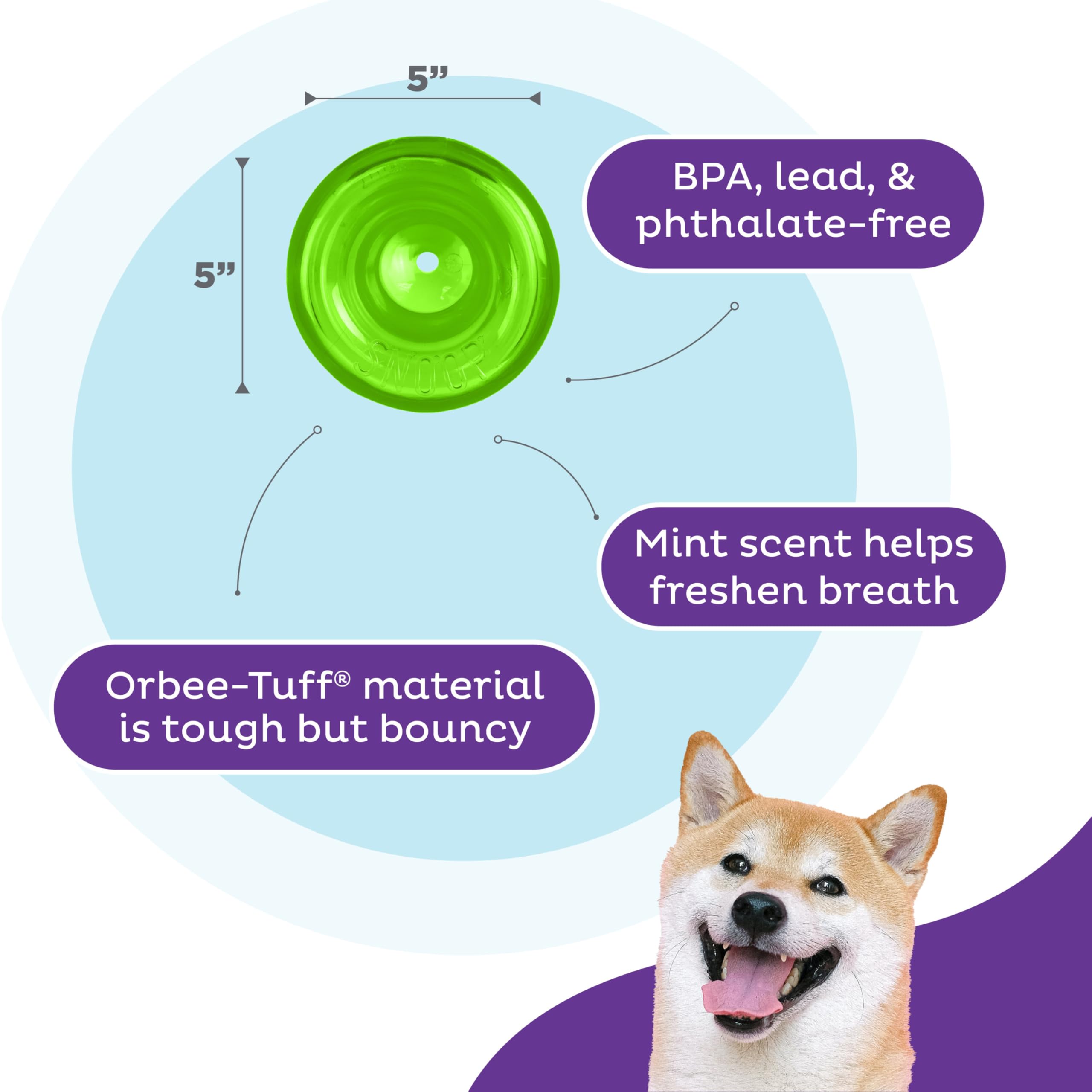 Outward Hound By Planet Dog Snoop Durable Interactive Treat Dispensing Dog Toy, Large, Green