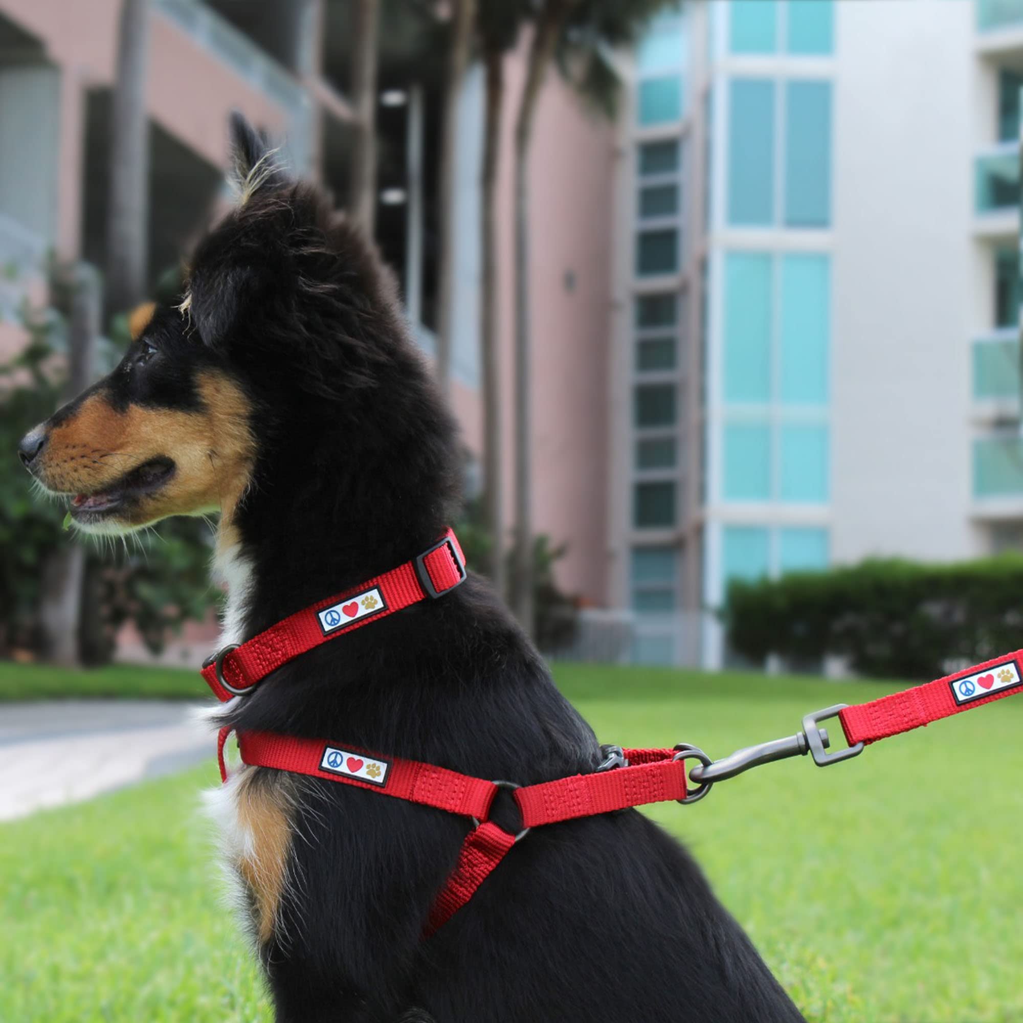 Pawtitas Solid Color Step In Dog Harness Or Vest Harness Dog Training Walking Of Your Puppy Harness Small Dog Harness Pink Cherry Blossom Dog Harness