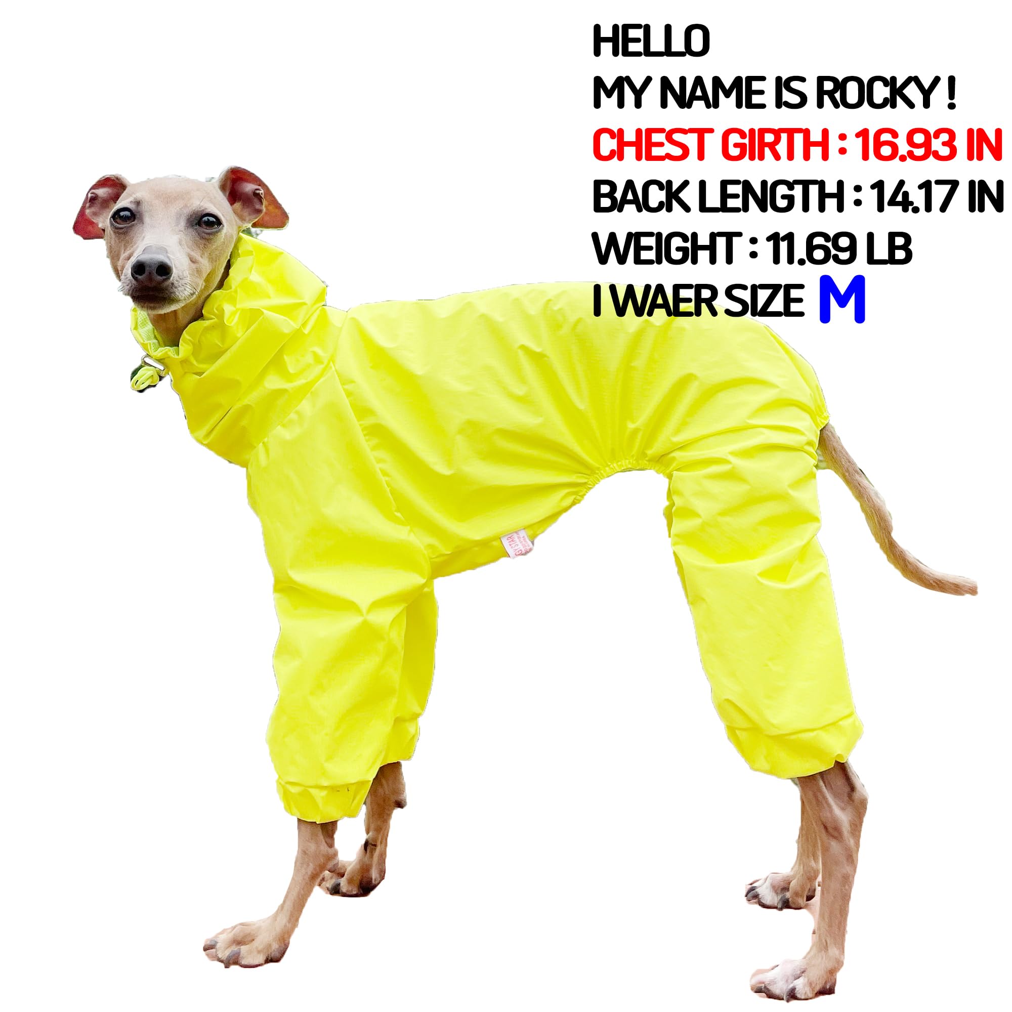 D Doggy Star Italian Greyhound Raincoat Waterproof Jacket Windbreaker Clothes Whippet For Dog (2Xl,Raincoat Yellow)