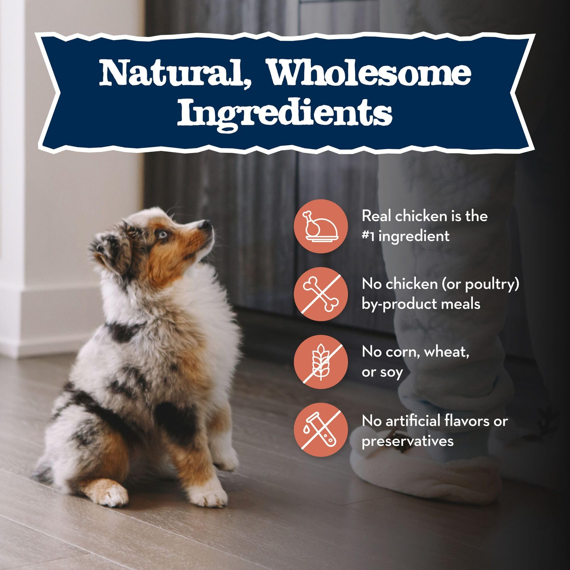 Blue Buffalo Baby BLUE Natural Large Breed Puppy Dry Dog Food, Healthy Growth Formula with DHA, Chicken and Brown Rice Recipe, 2