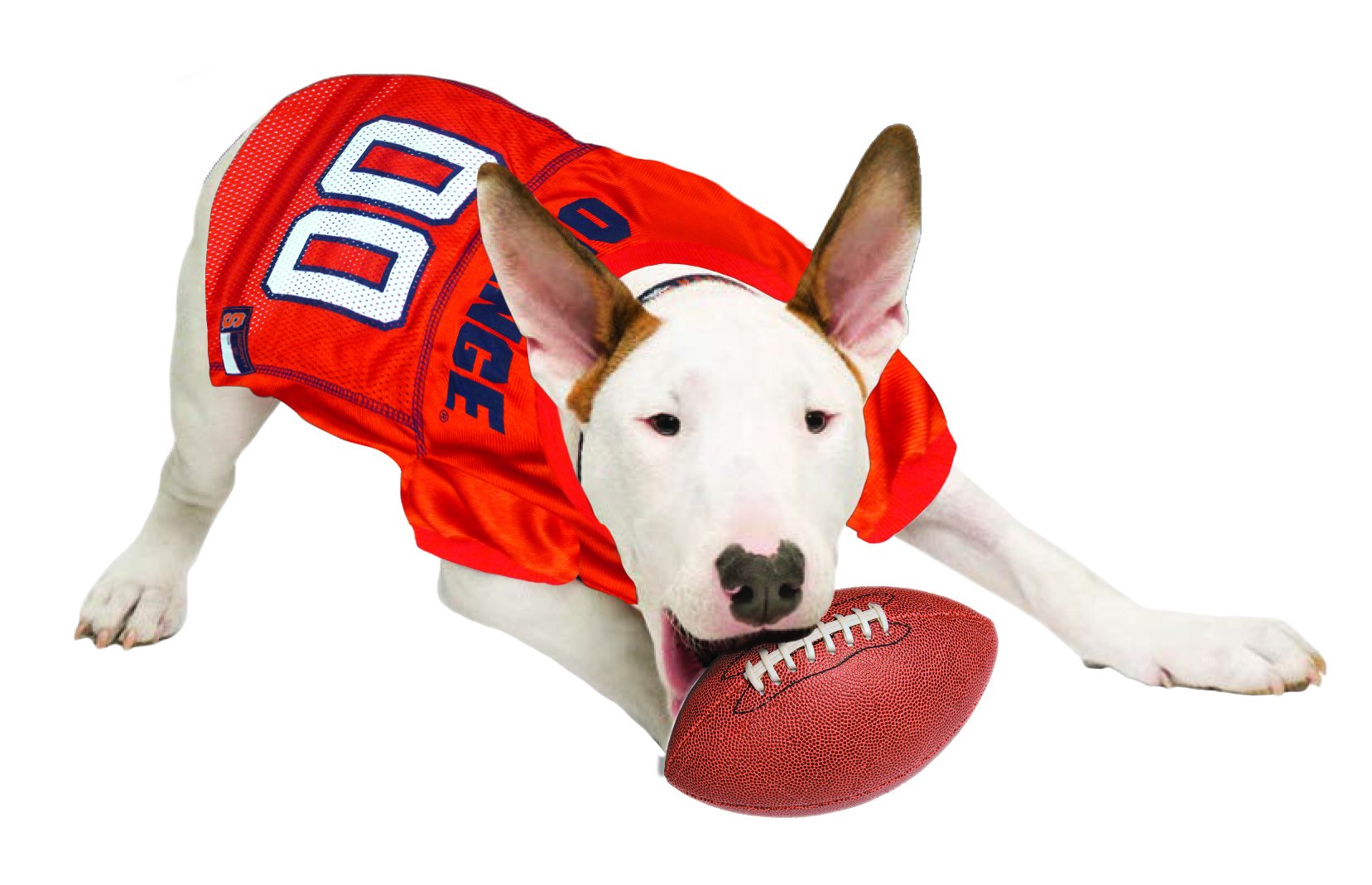 Pets First NCAA College Syracuse Orange Mesh Jersey for DOGS & CATS, Size Medium, Licensed Dog Jersey with your Favorite Footbal