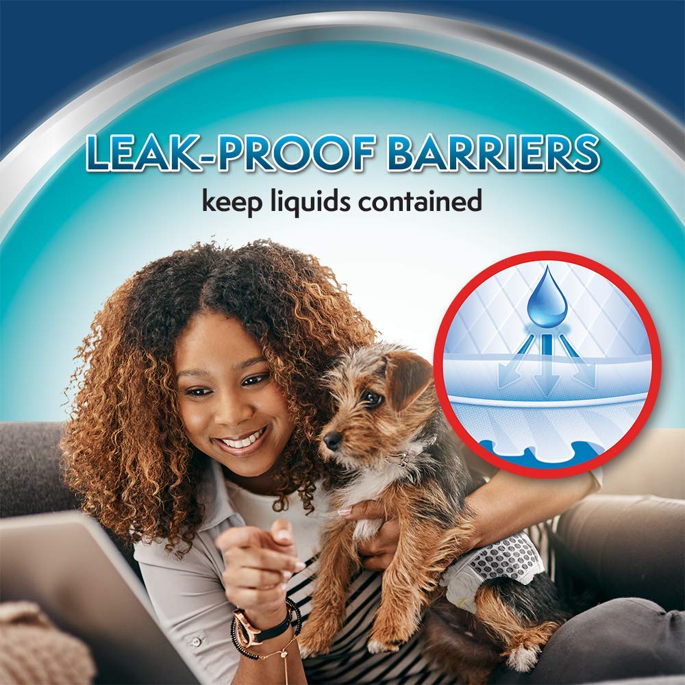 Simple Solution Disposable Dog Diapers for Male Dogs  Male Wraps with Super Absorbent Leak-Proof Fit  Large  12 count