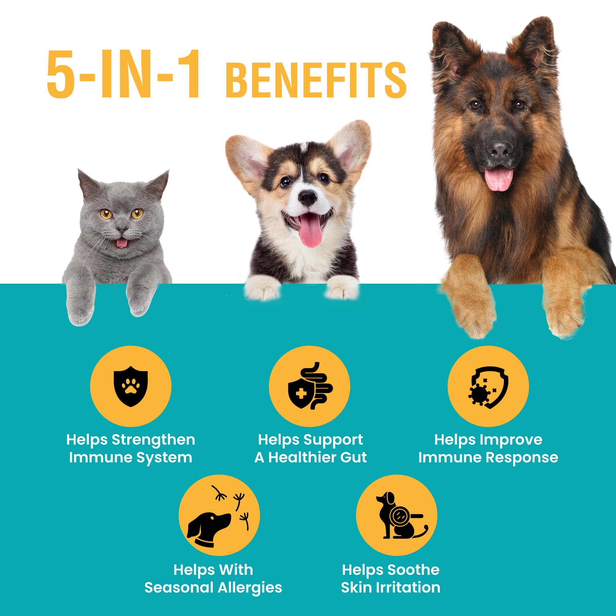 Special Breed Allergy & Immune with Elderberry, Allergy Relief for Cats and Dogs, Anti Itch Treatment, Relief for Pet Allergies,