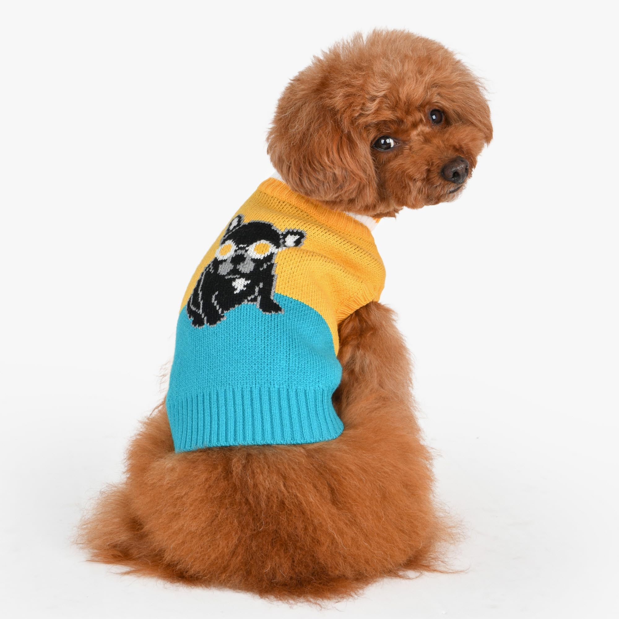 Puppia Bruno Dog Knit Sweater Winter Season For Small And Medium Dogs, Yellow, Large