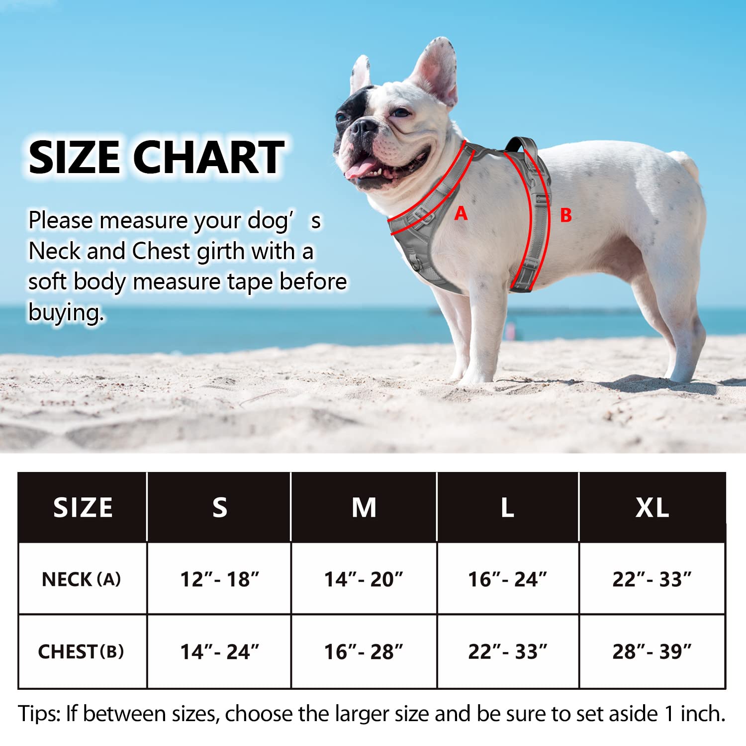 Poypet No Pull Dog Harness, No Choke Reflective Dog Vest, Adjustable Pet Harnesses With Easy Control Padded Handle For Small Medium Large Dogs(Light Blue Matching Trim,L)