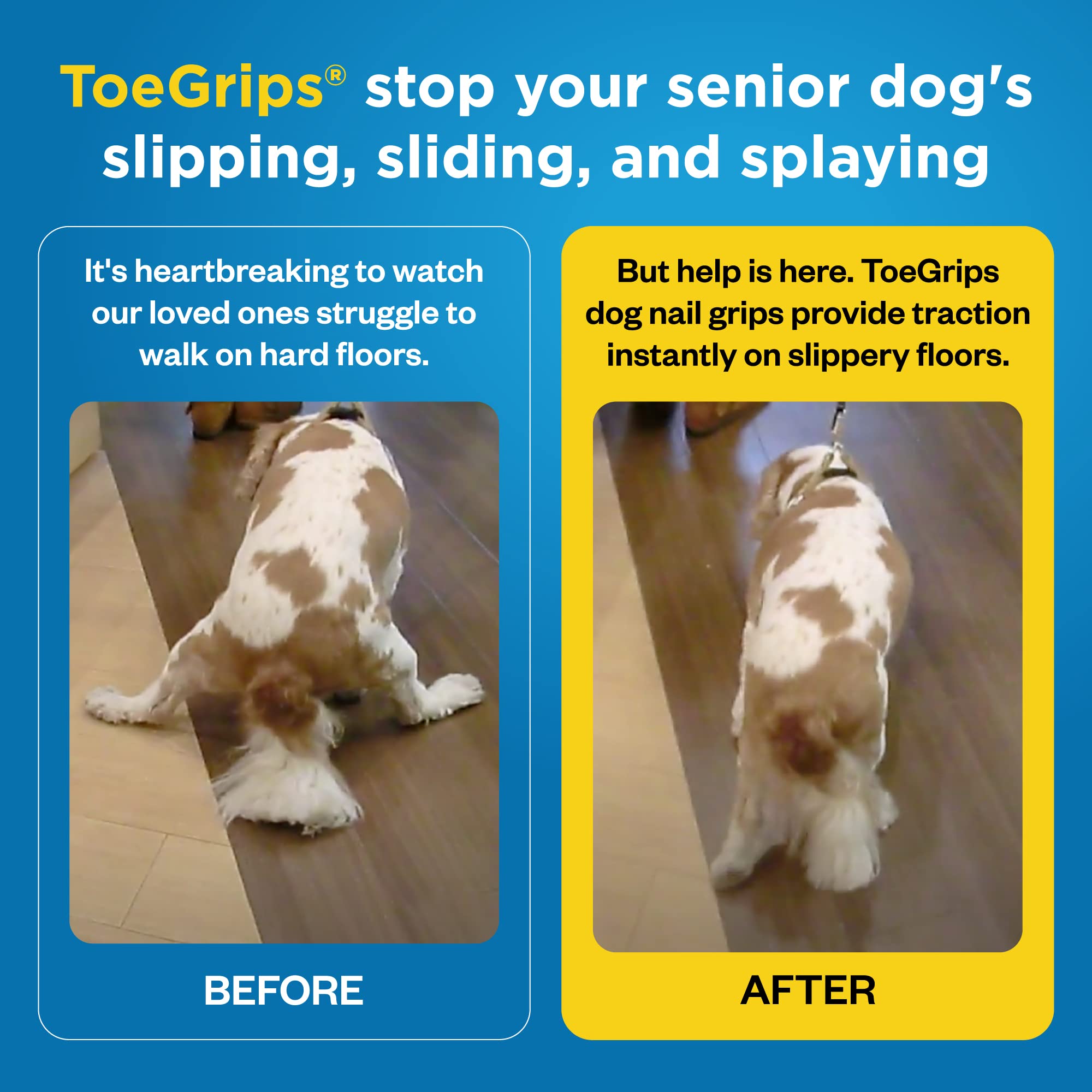 Dr Buzby'S Xsmall Toegrips For Dogs,Instant Traction On Wood/Hardwood Floors,Dog Anti Slip Relief,Dog Grippers For Senior Dogs,S