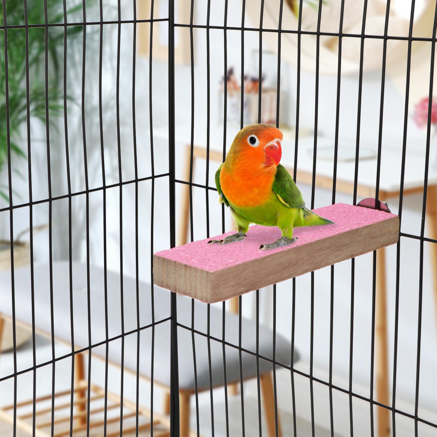 Hypeety Parrot Wooden Perch Platform Playground Macaw African Greys Budgies Parakeet Cockatiels Conure Macaw Finch Cage Shelf Toy Cage Accessories（Random Color） (A)
