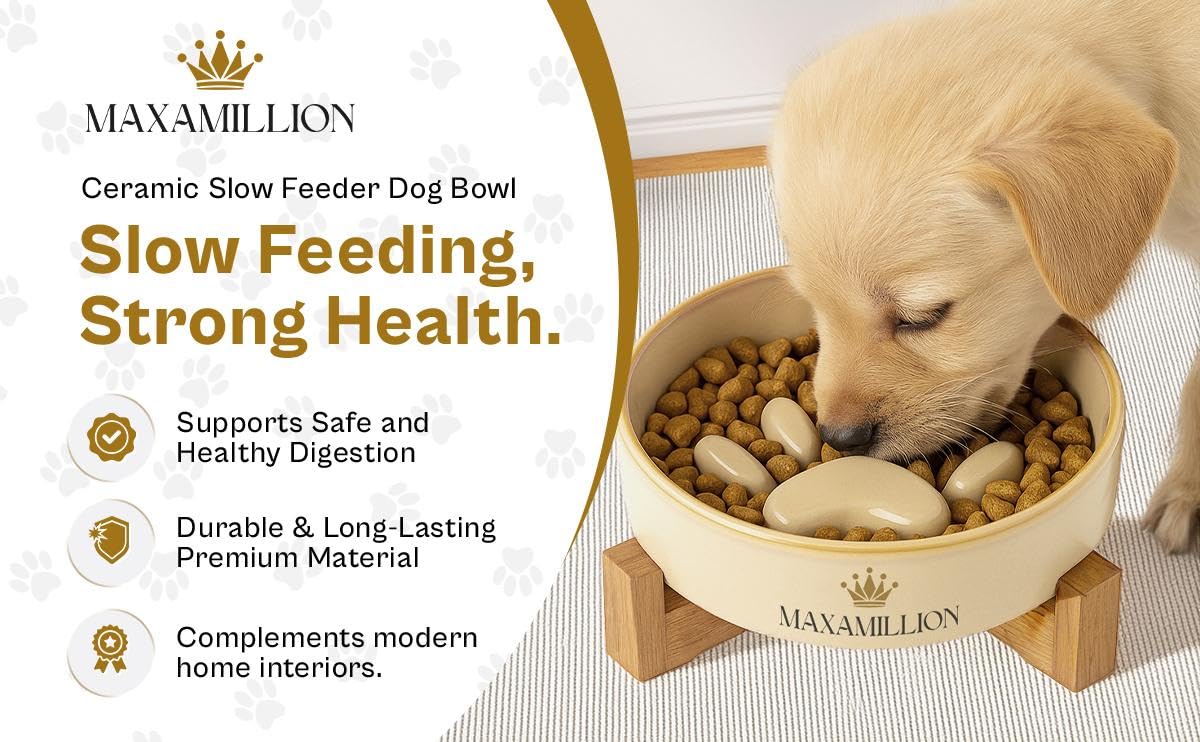 2 Ceramic Slow Feeder Dog Bowls for Small & Medium Dogs - Heavy Puzzle Maze Ceramic Dog Bowl for Fast Eaters to Stop Bloat, Vomi