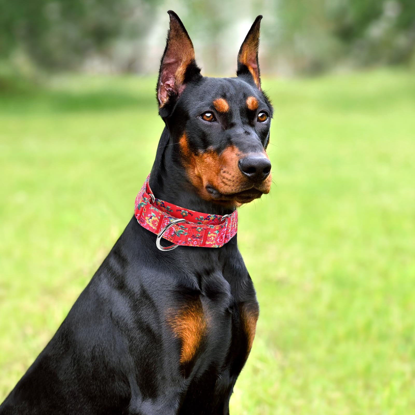 Martingale Collar For Dogs 1.5 Inch Wide,Red Floral No Pull Heavy Duty Dog Collar For Medium Large Extra Large Dogs M