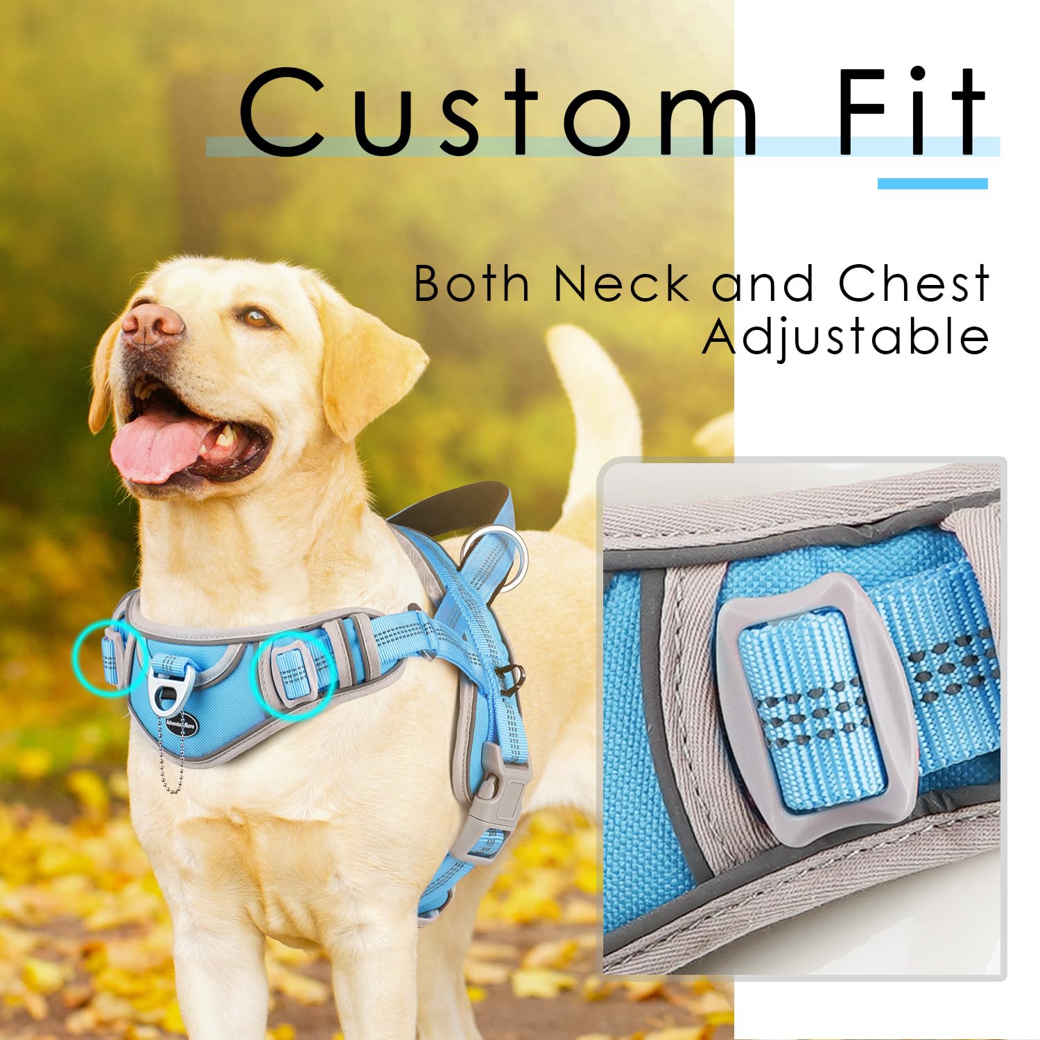 ADVENTUREMORE Small Dog No Pull Harness, Adjustable XL Vest, Reflective, Light Blue, Escape Proof with QR Code Tag, Model CPHA-0415-QR-XL-LBU