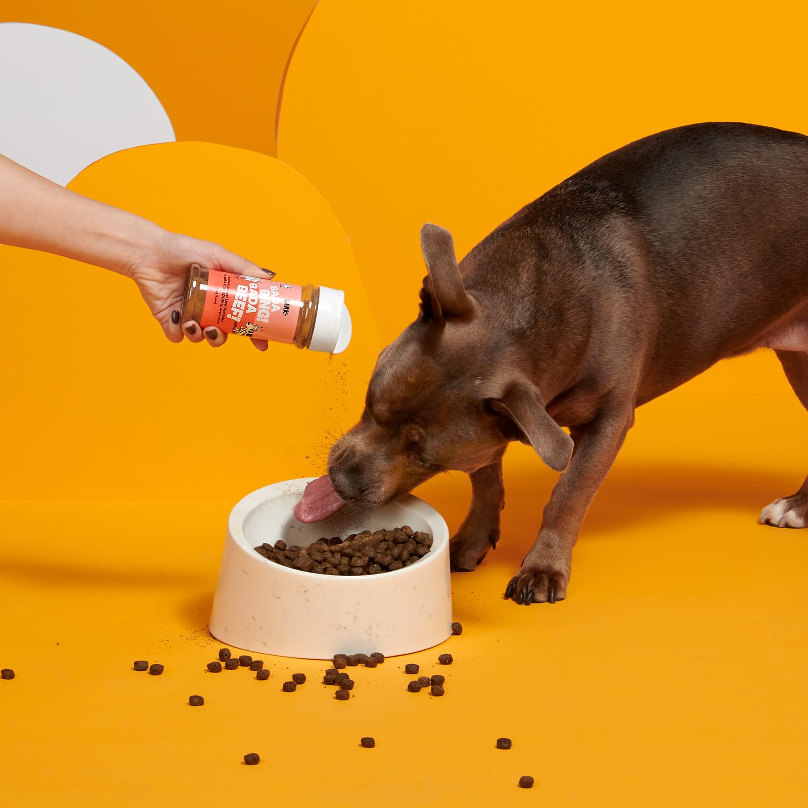 Barkbox - Bada Bing Bada Beef - Dry Dog Food Toppers with High Protein, Limited Ingredients - Meal Enhancer for Large & Small Br