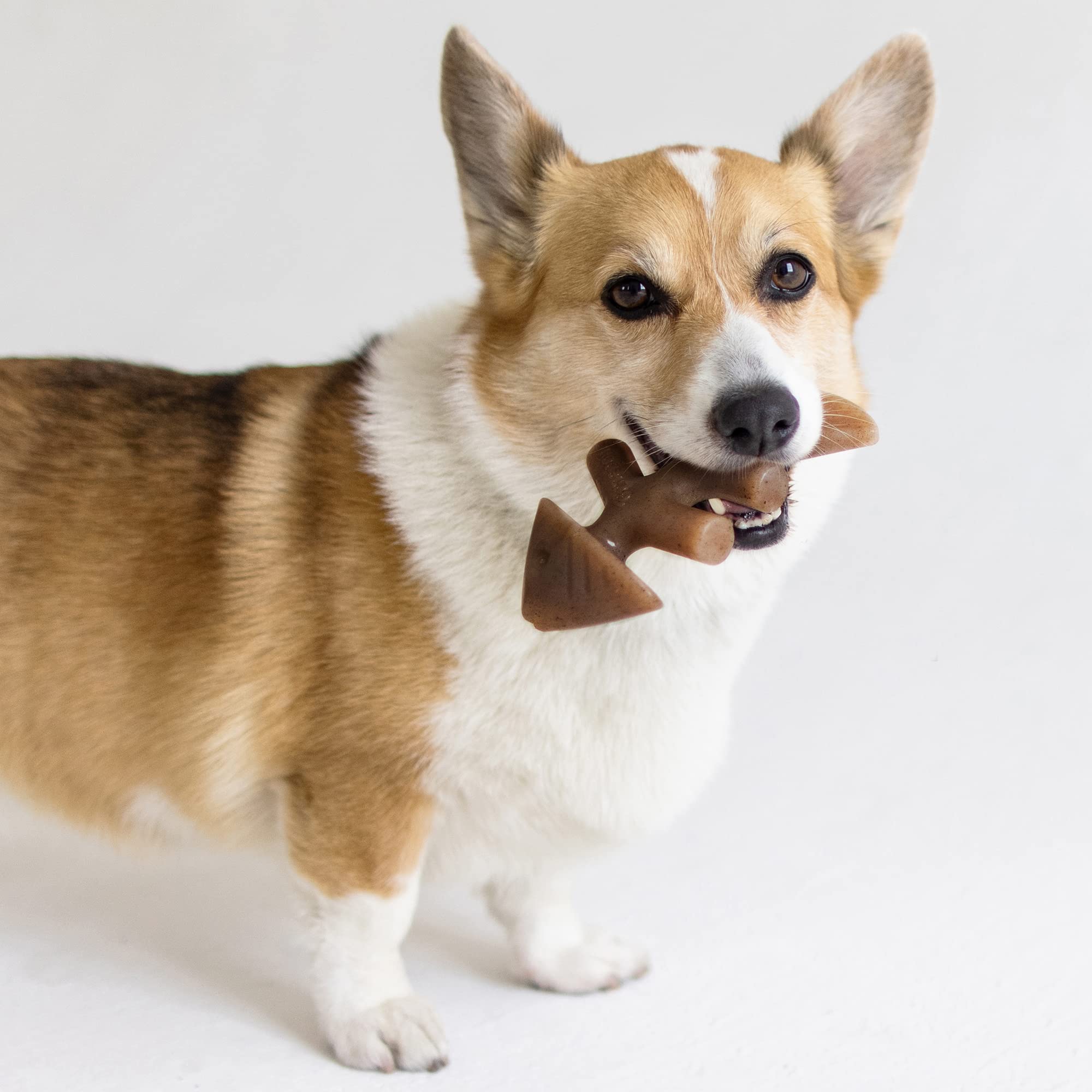 Benebone Set Of 1 Fishbone/Wishbone Durable Dog Chew Toys, Real Fish, Real Bacon, Made In Usa, Small