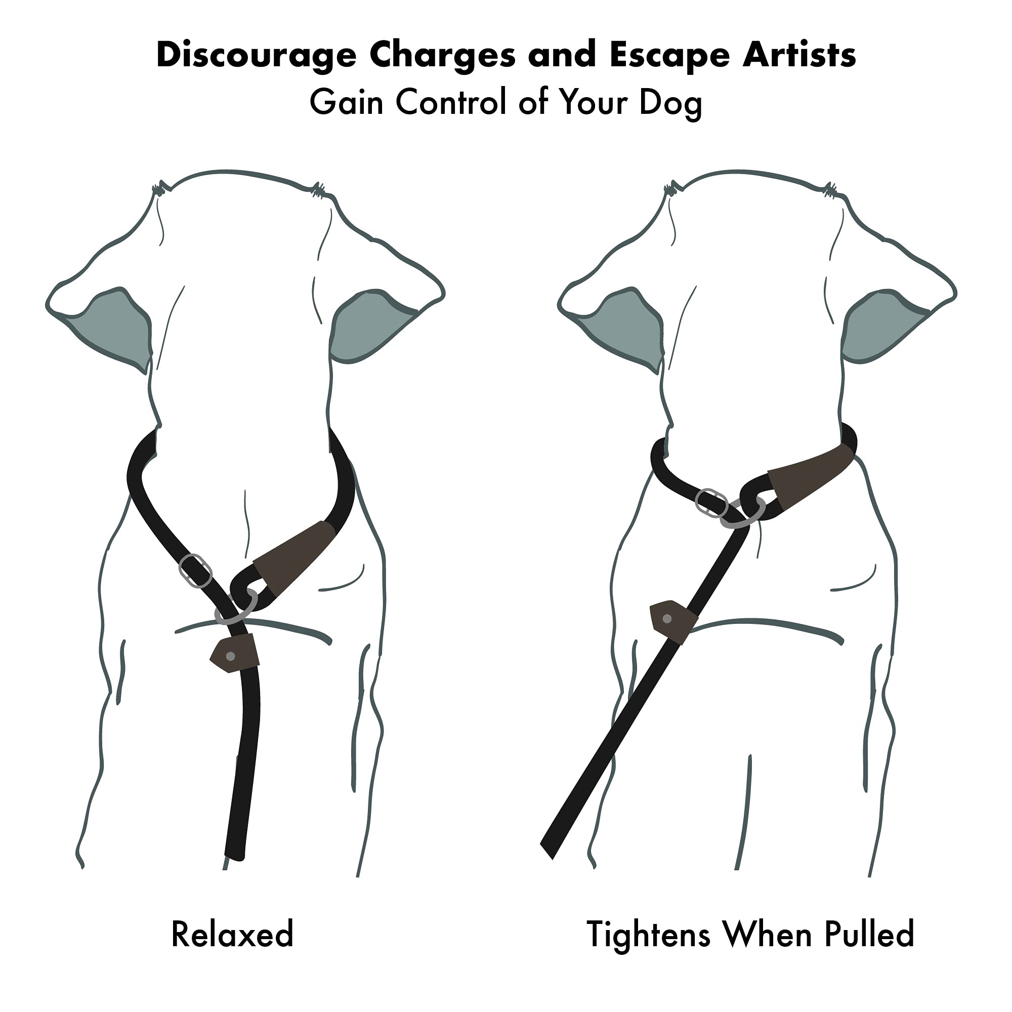 Friends Forever Dog Rope Leash - Durable, Reflective, 6ft, Black, Heavy Duty Training Slip Lead for Large, Medium, Small Pets