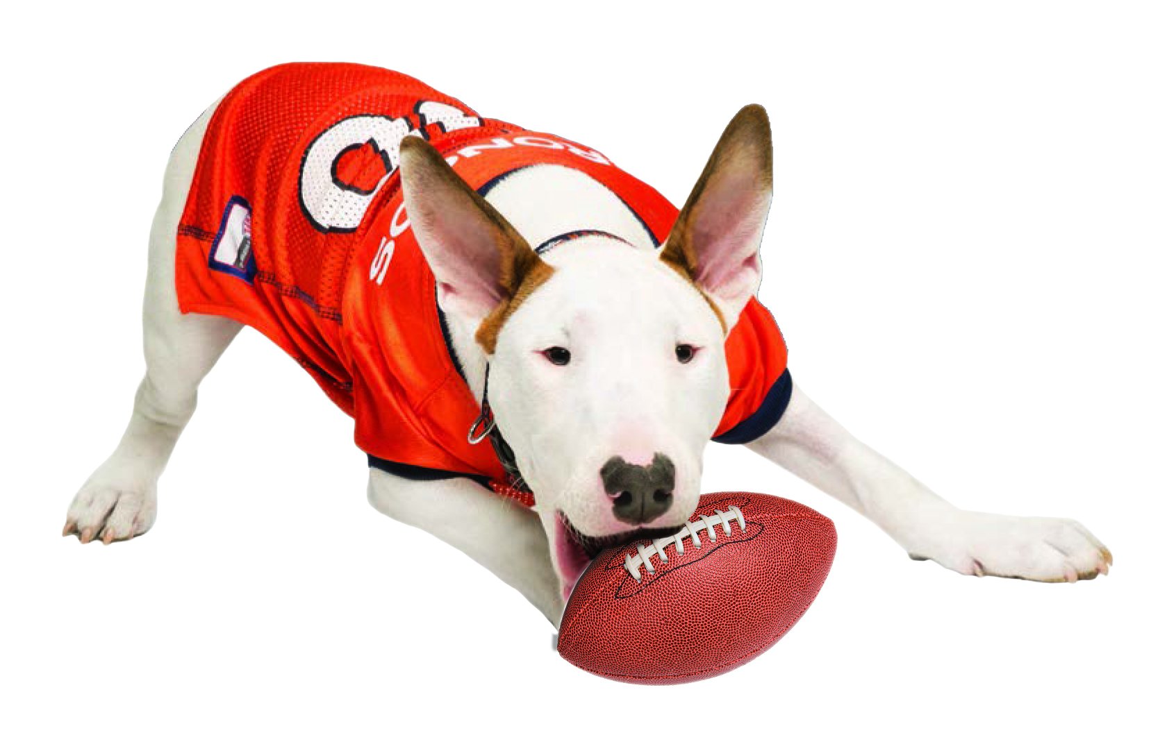 NFL DENVER BRONCOS DOG Jersey, Small