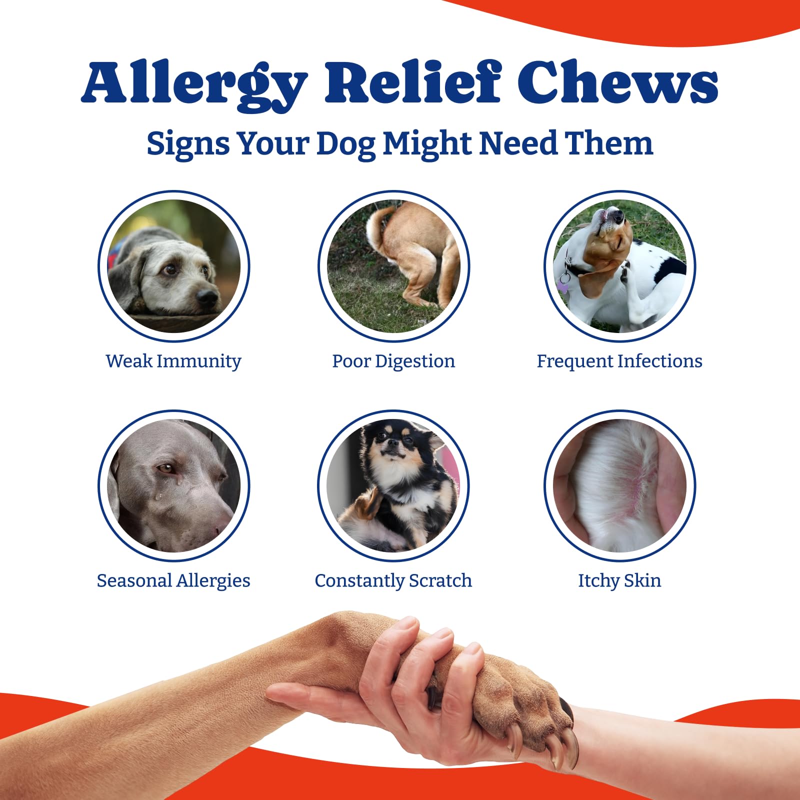 YoYoBay Dog Allergy Relief Chews - 70 Soft Chews, Turkey & Pumpkin Flavor - Immune Support & Itch Relief with Colostrum, Astraga