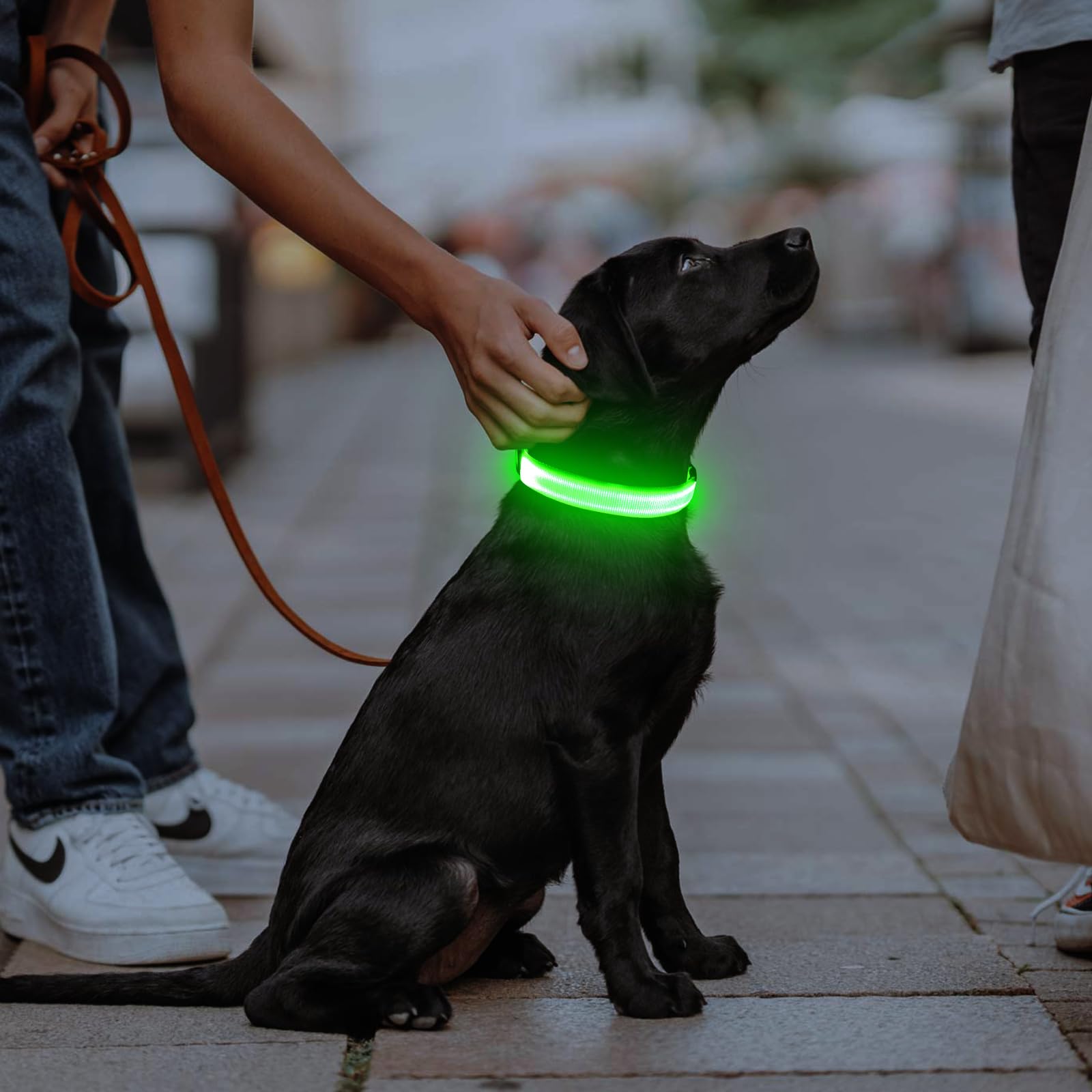 Illumifun Light Up Dog Collar, Usb Rechargeable Led Dog Collar Adjustable Glow In The Dark Pet Collar Safety Dog Lights For Night Walking (Green, Medium)