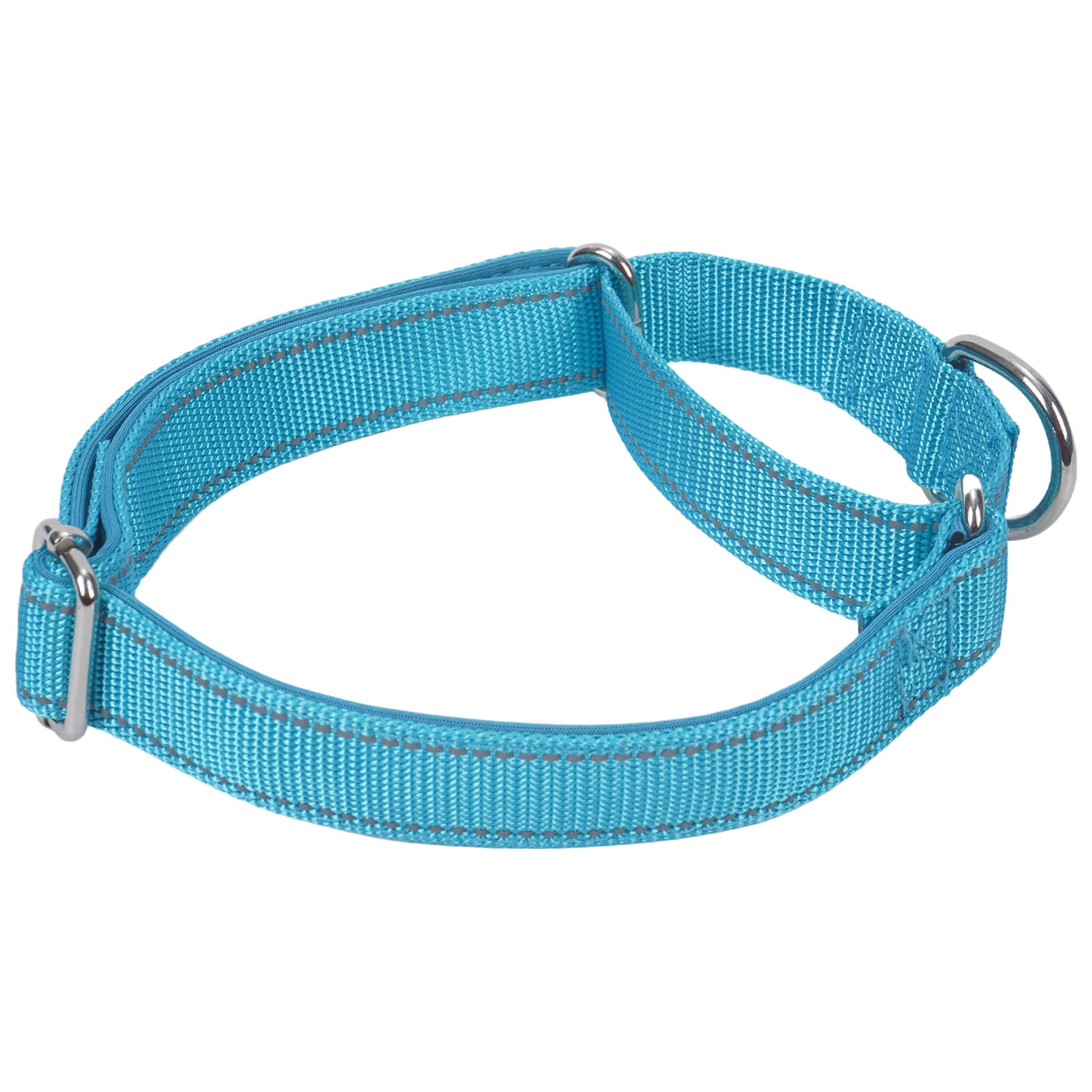 SGODA Martingale Dog Collar, Reflective Nylon Padded Dog Training Collars for Medium Dogs, Blue M