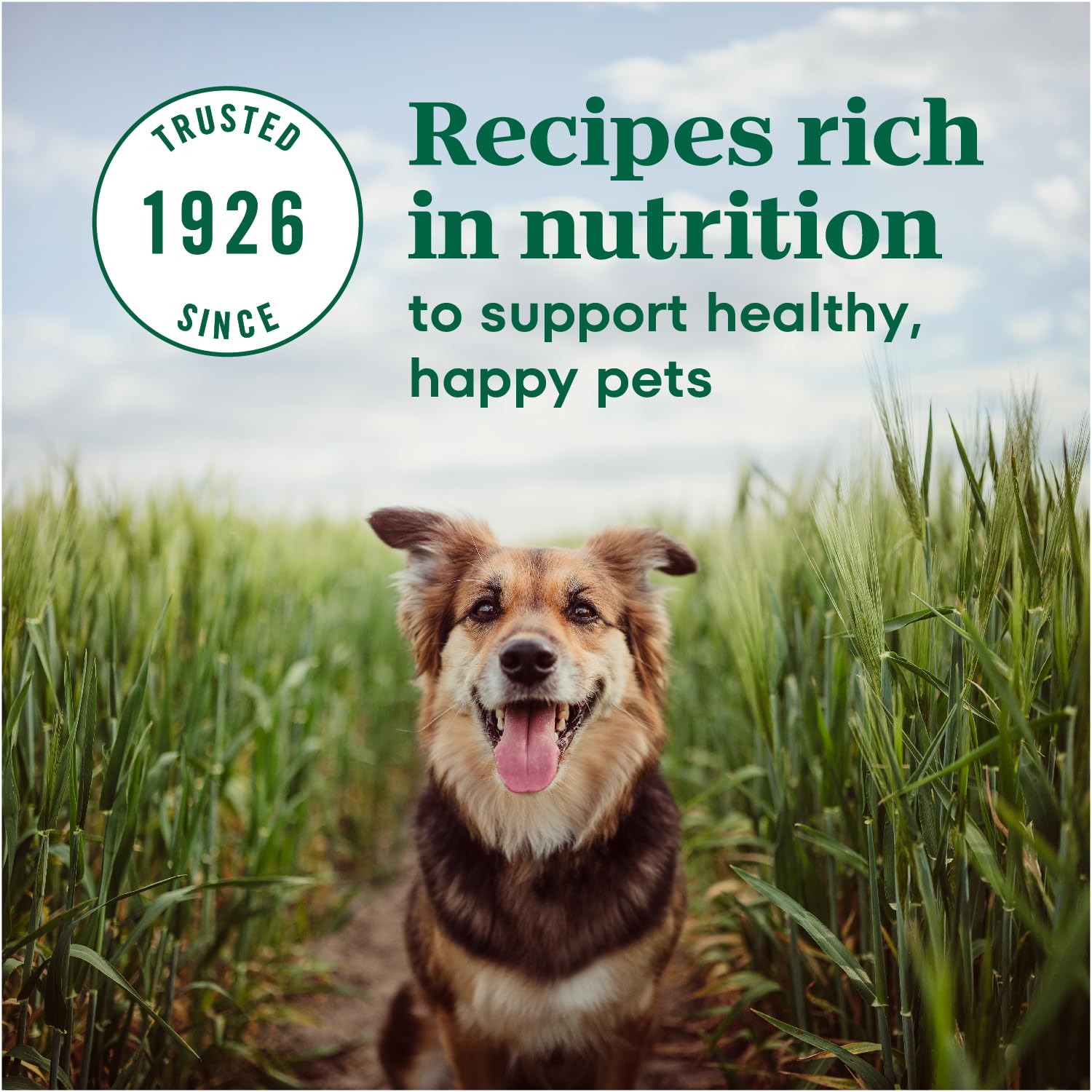 Nutro Max Adult Mini Chunk Dry Dog Food, Farm-Raised Chicken, 25 lb. Bag
