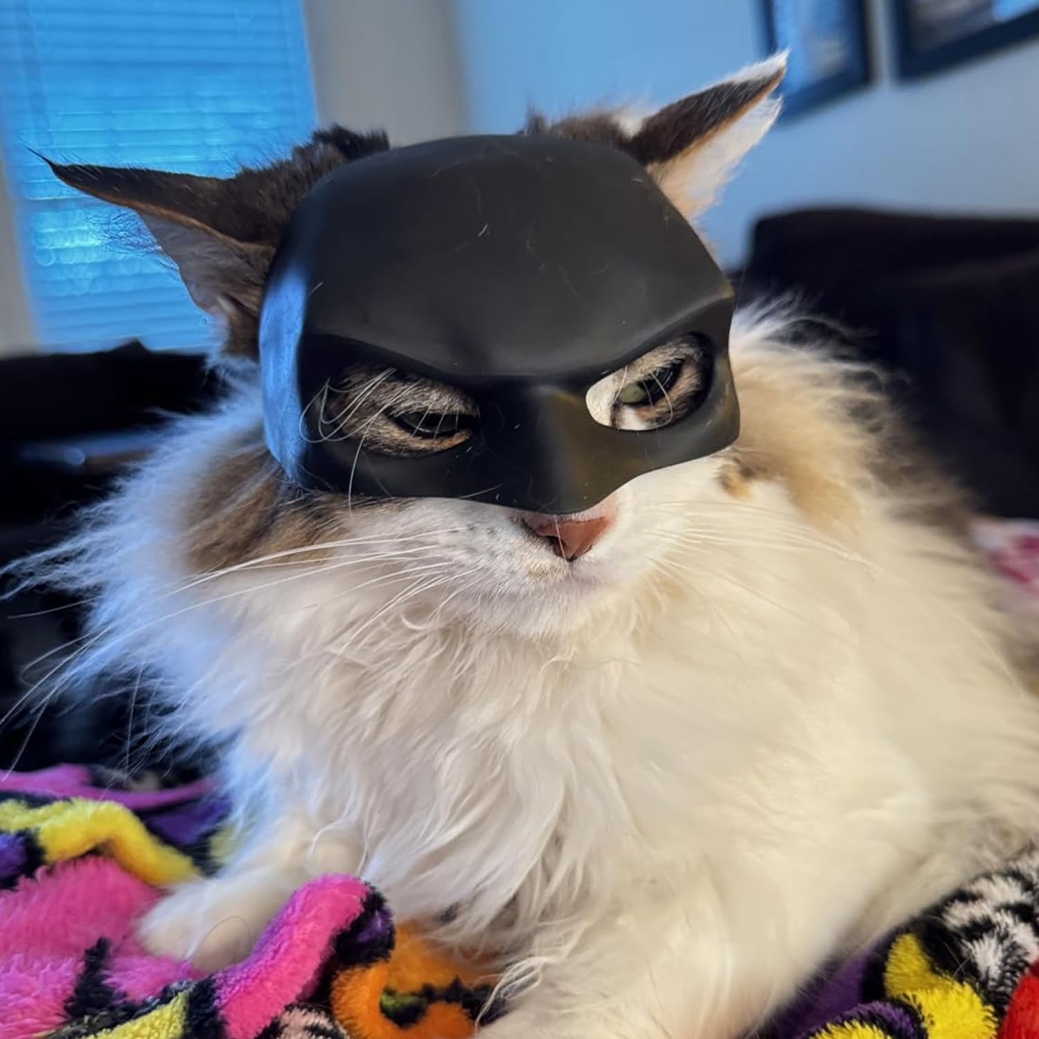 Cat Mask Cosplay, Cat Cosplay Hat, Cat Mask For Halloween Cosplay, Funny Cat Costumes Accessories (Large)