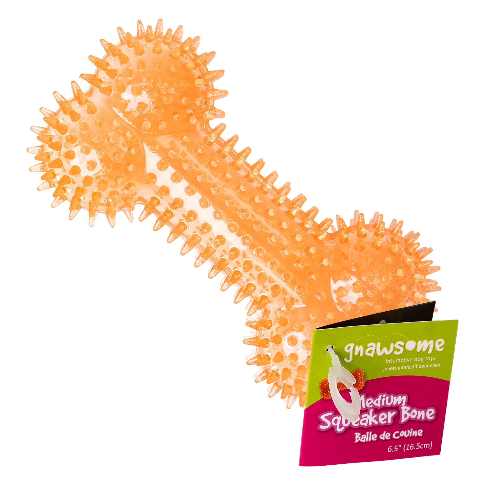 Gnawsome Dog Toys - 6.5    Spiky Squeaker Bone - Medium - Dental & Gum Wellness - Stimulating Fun - Hidden Squeaker - Durable fo