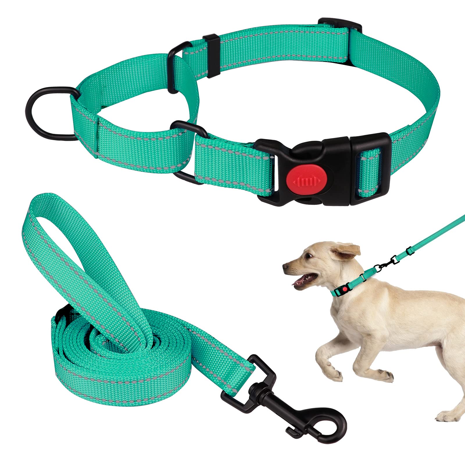 Martingale Dog Collar And Leash Set Martingale Collars For Dogs Reflective Martingale Collar For Small Medium Large Dogs(Mint Green&M)