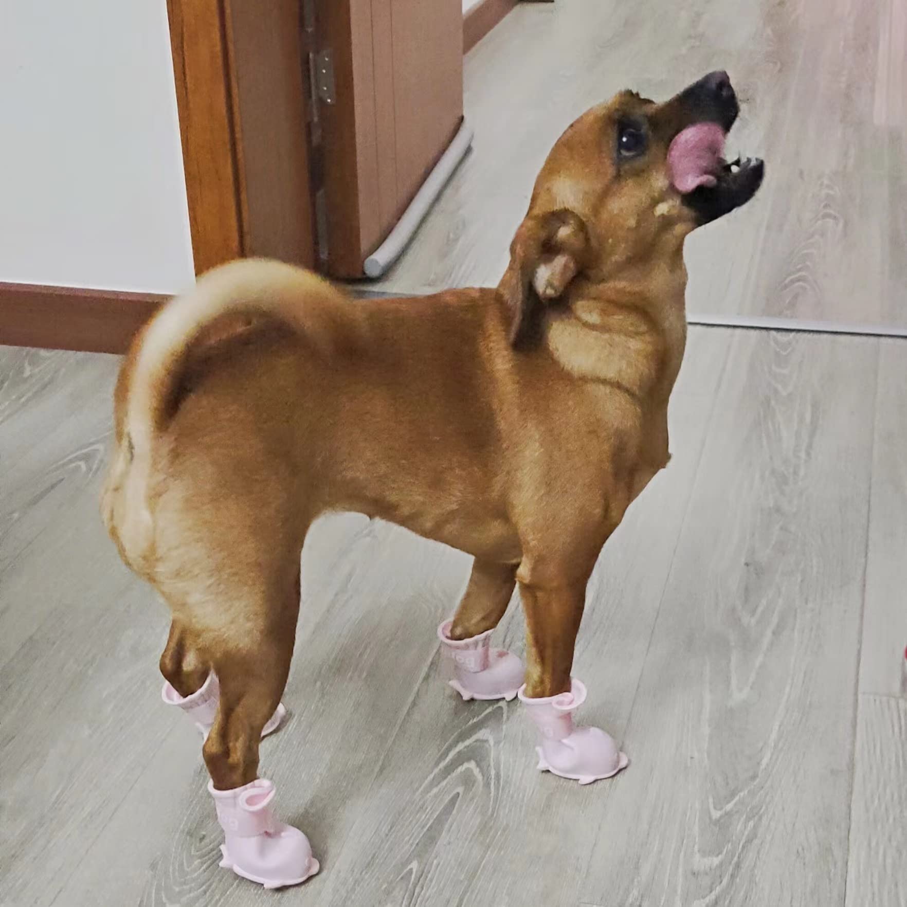 Yeduzyn 4Pcs Waterproof Dog Boots Dog Shoes For Snow And Rain Teddy Pomeranian Bichon Small Dogs Size Runs Small Please Check Th