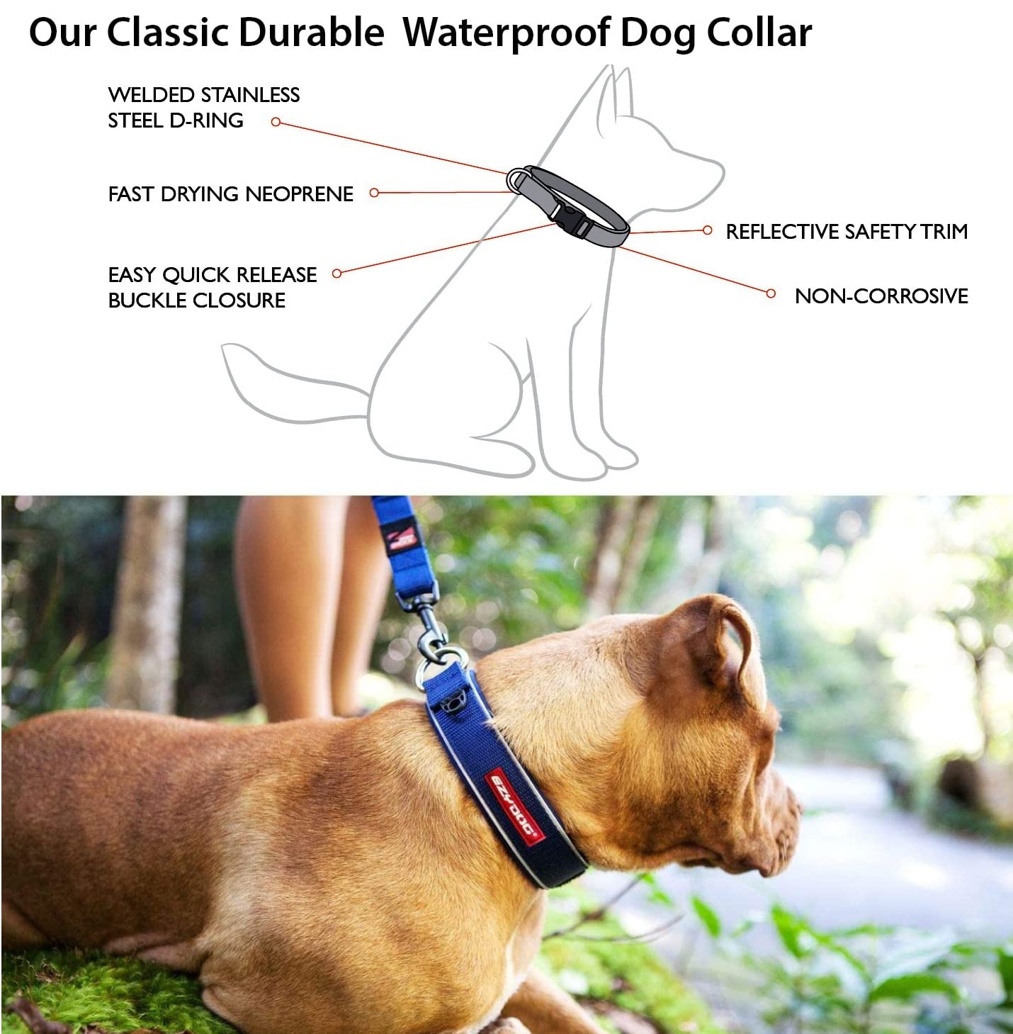 Ezydog Neo Dog Collar, Medium, Orange