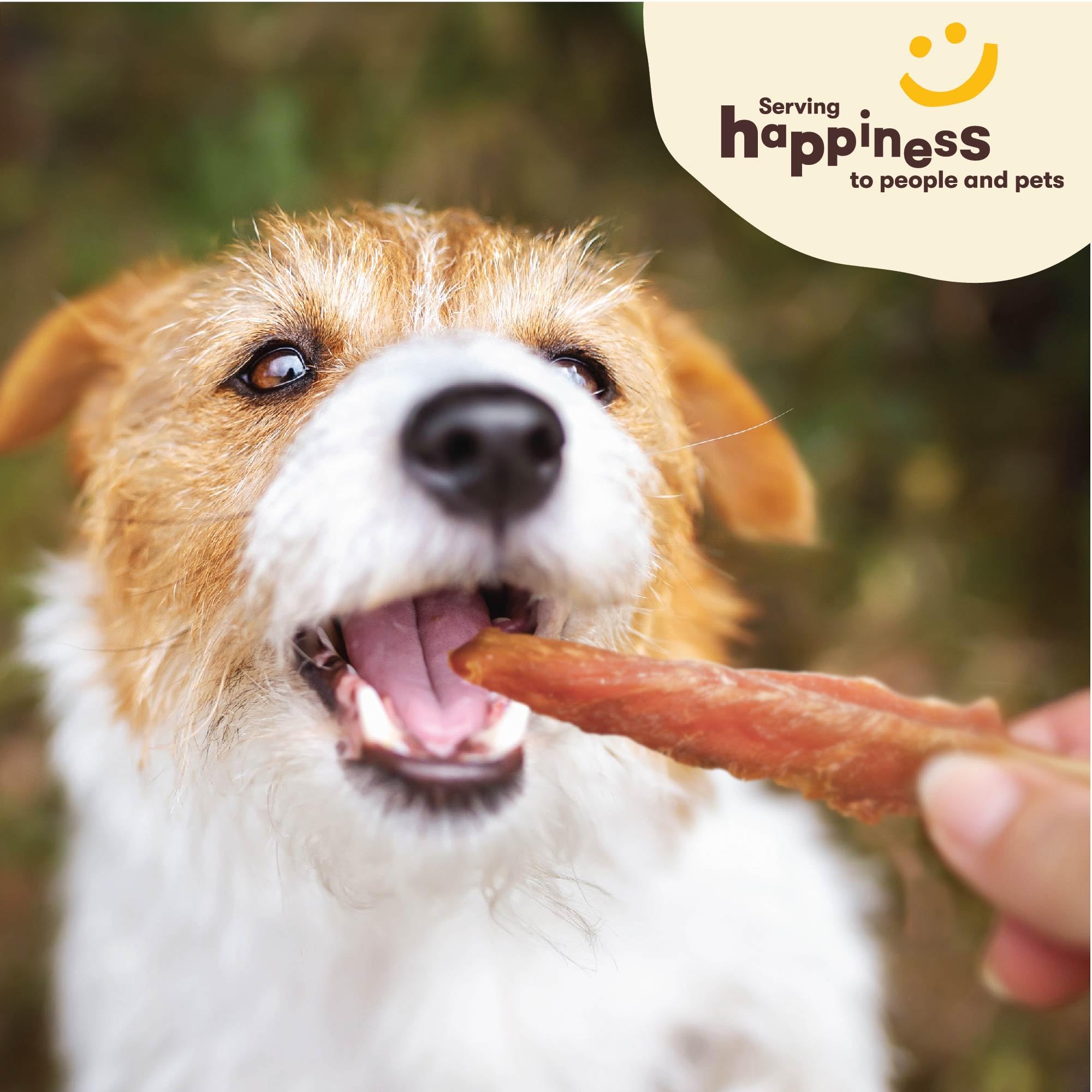 Pet n Shape Chik n Skewers - Chicken Wrapped Rawhide Chew Dog Treats - 1 Pound
