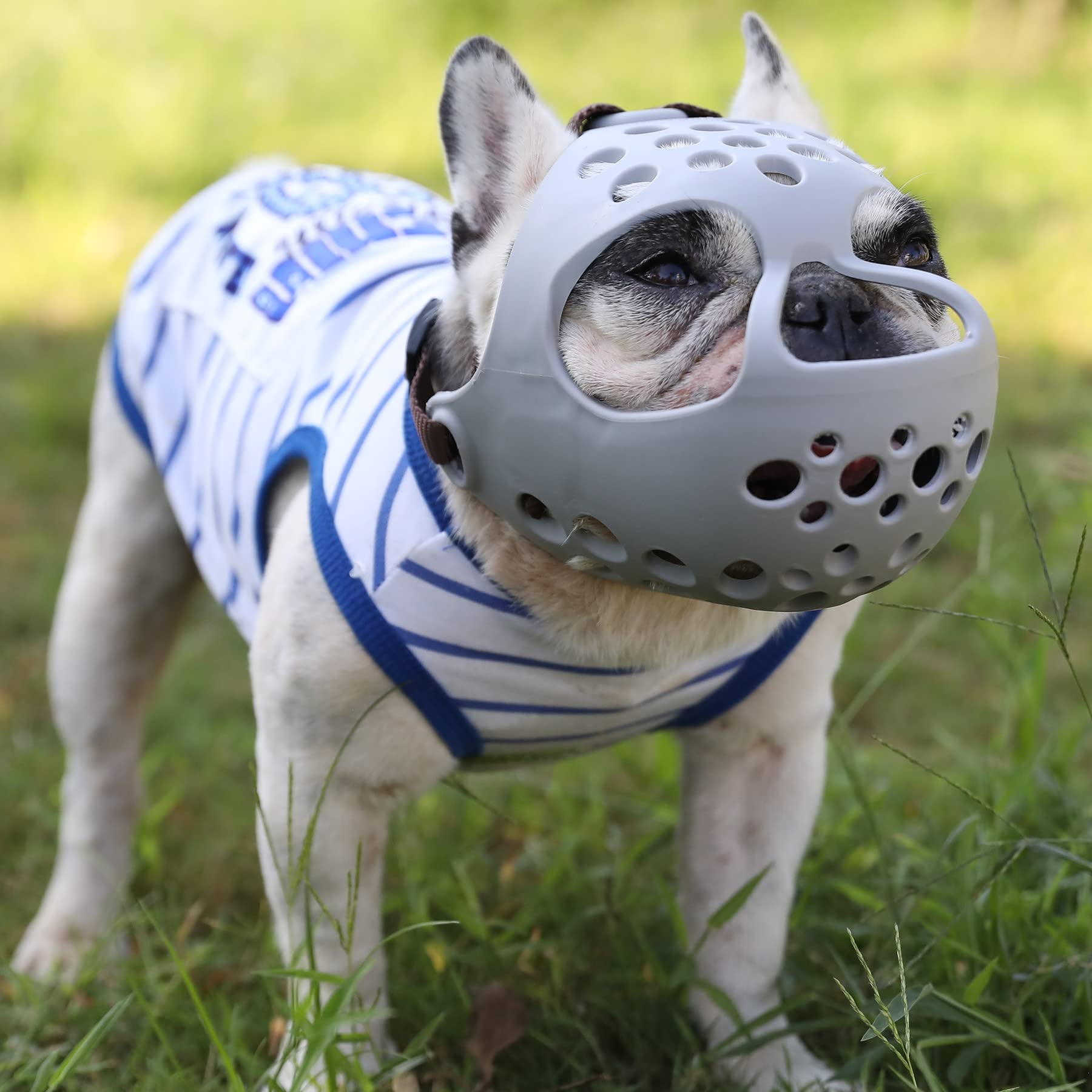 Jyhy Short Snout Dog Muzzles,Soft Silicone Adjustable Breathable Bulldog Muzzle For Biting Chewing Barking Training,Ideal For Flat-Faced Dogs (Medium/13-15'(Pack Of 1), Grey)
