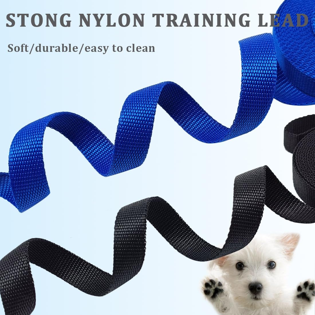 Wyuze 2 Pack Flat Nylon Dog Leashes, 6/10/20/30 Ft Long Recall Dog Training Lead, 3/4 Inch Wide Traditional Leash For Small Medi
