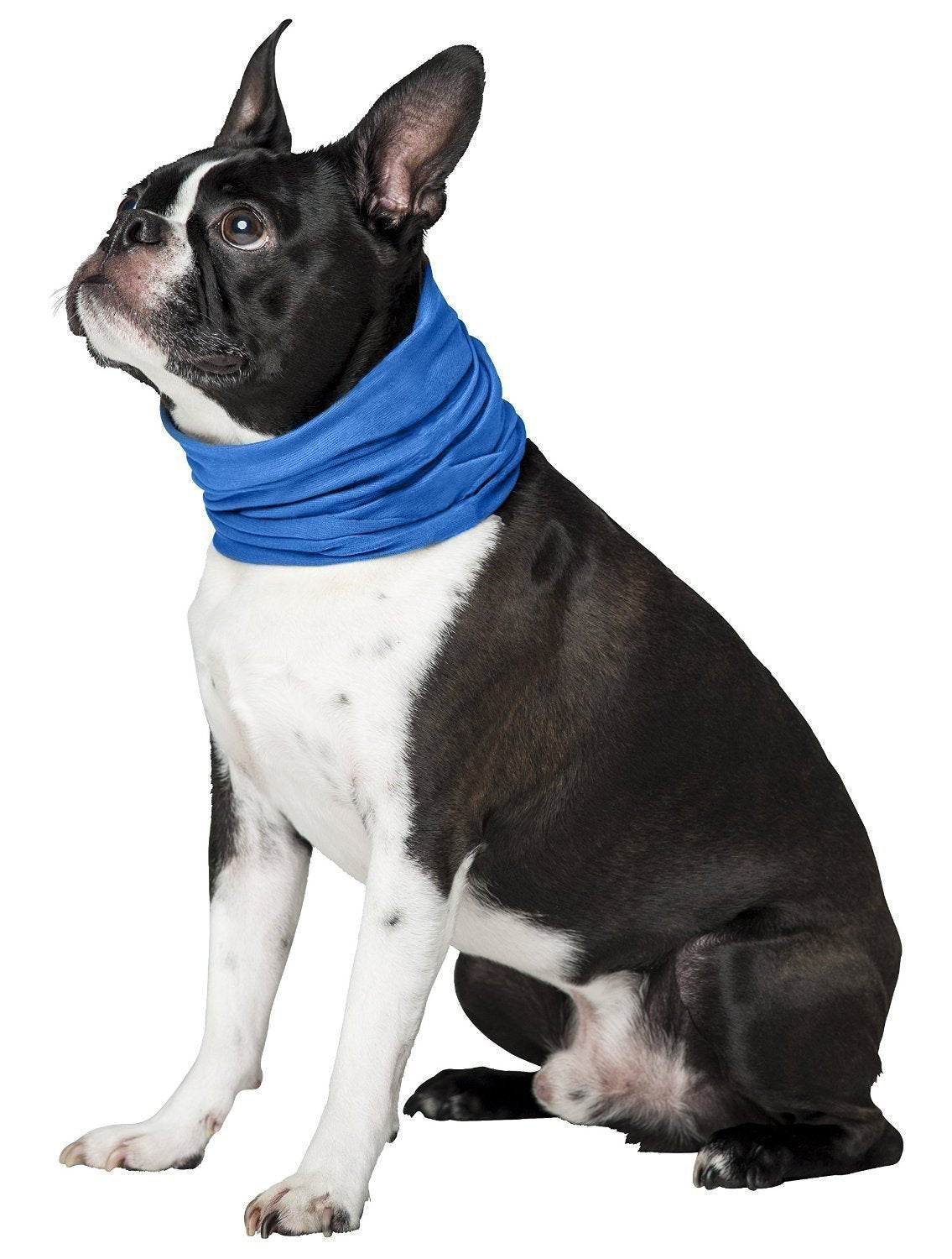 Novel Brands K9 Chill Dog Cooling Collar (Small/Medium 8'- 20')