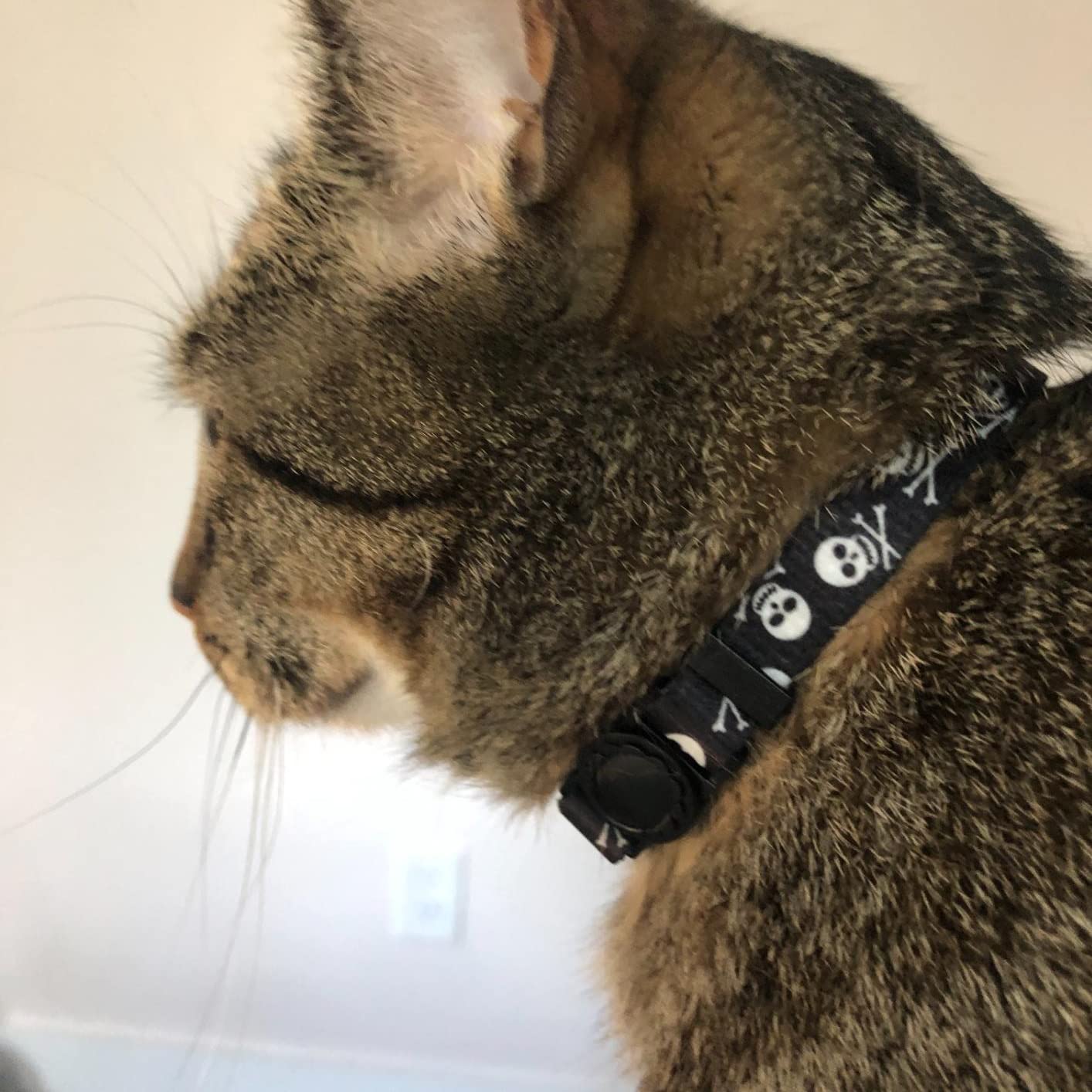 Pupteck Breakaway Cat Collar With Bell Charm, 2 Packs Adjustable Kitty Collars Pink & Black Skull Pattern