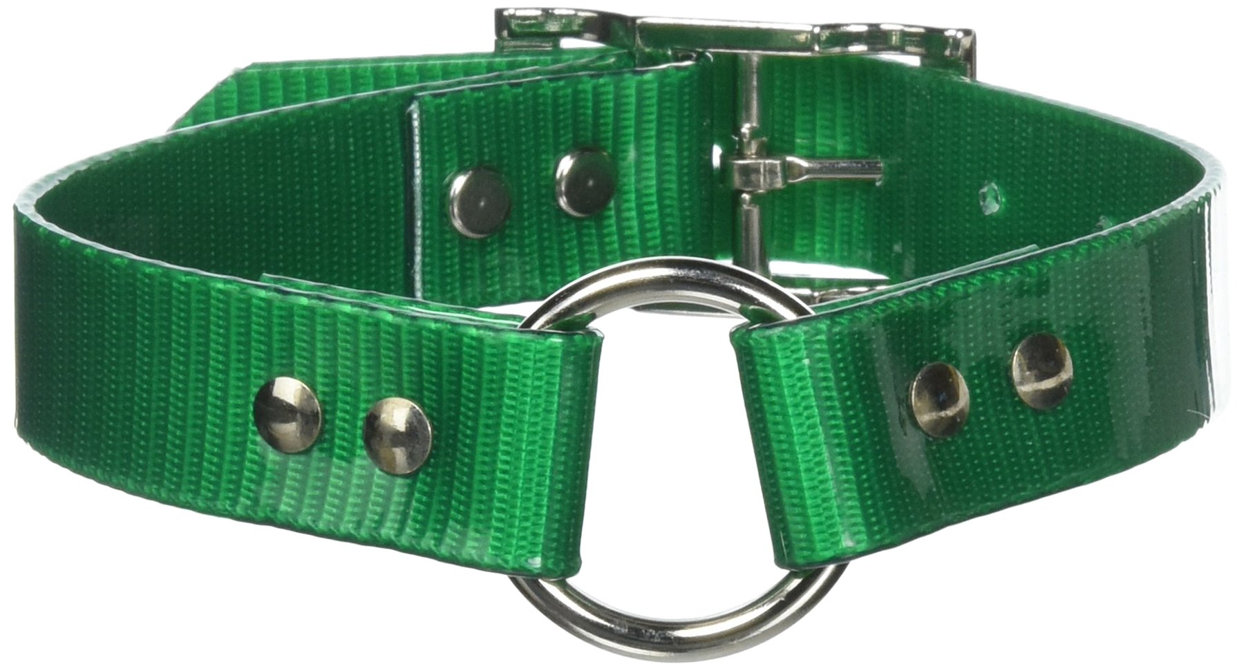 Omnipet Sunglo Ring-In-Center Dog Collar, 1' Wide, Green, Fits 12'- 15.5' Neck Sizes, Vibrant Colors & Tough Construction For