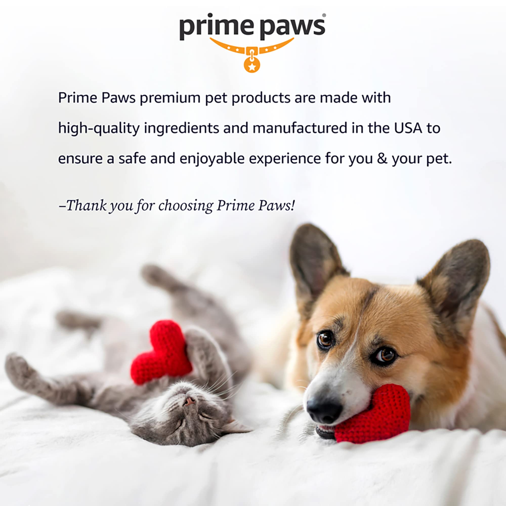 Prime Paws Avocado Herbal Shampoo for Dogs - 16 Oz. Moisturizing Formula for Itchy Skin, Reduces Shedding, Addresses Dandruff, White