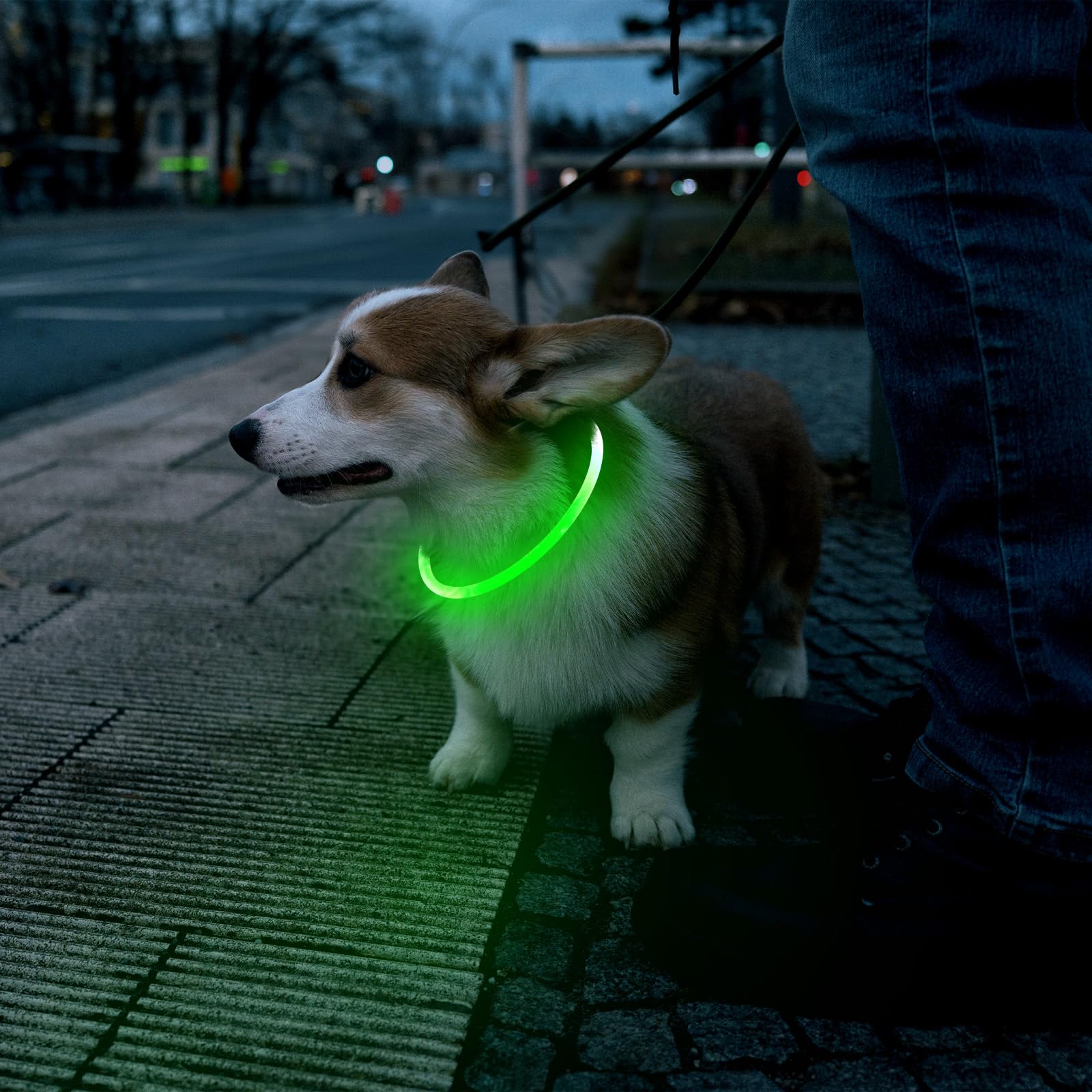 Higuard Led Dog Collar Usb Rechargeable Glowing Pet Collars Lighted Up Safety Necklace Glow In The Dark For You & Your Dogs (Gre