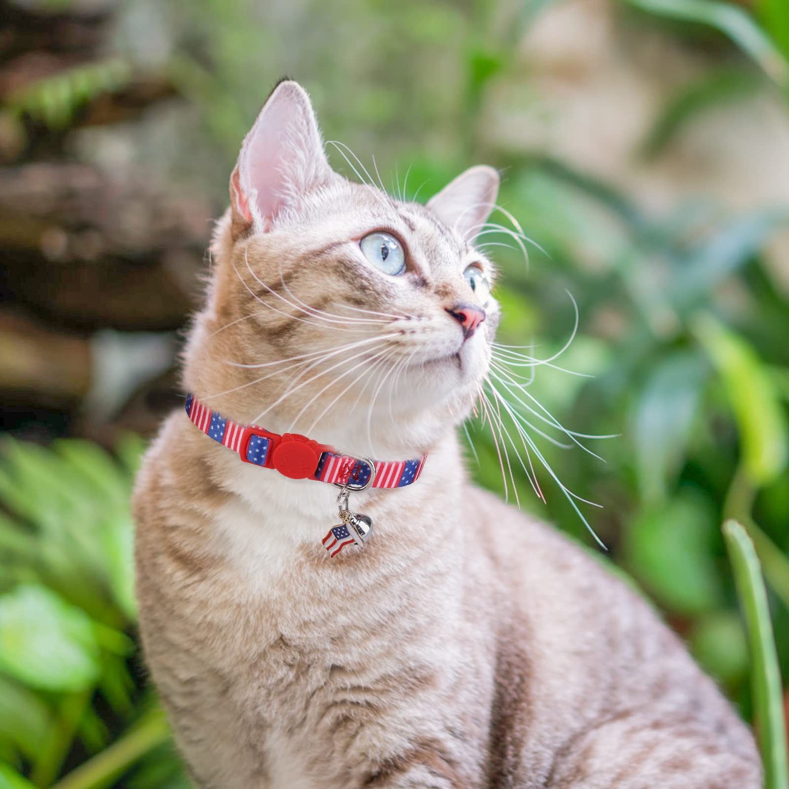 Dillybud 3 Pack Breakaway Cat Collars With Bell- 4Th Of July Cat Collar,Independence Holiday American Flag Kitty Collar For Girl