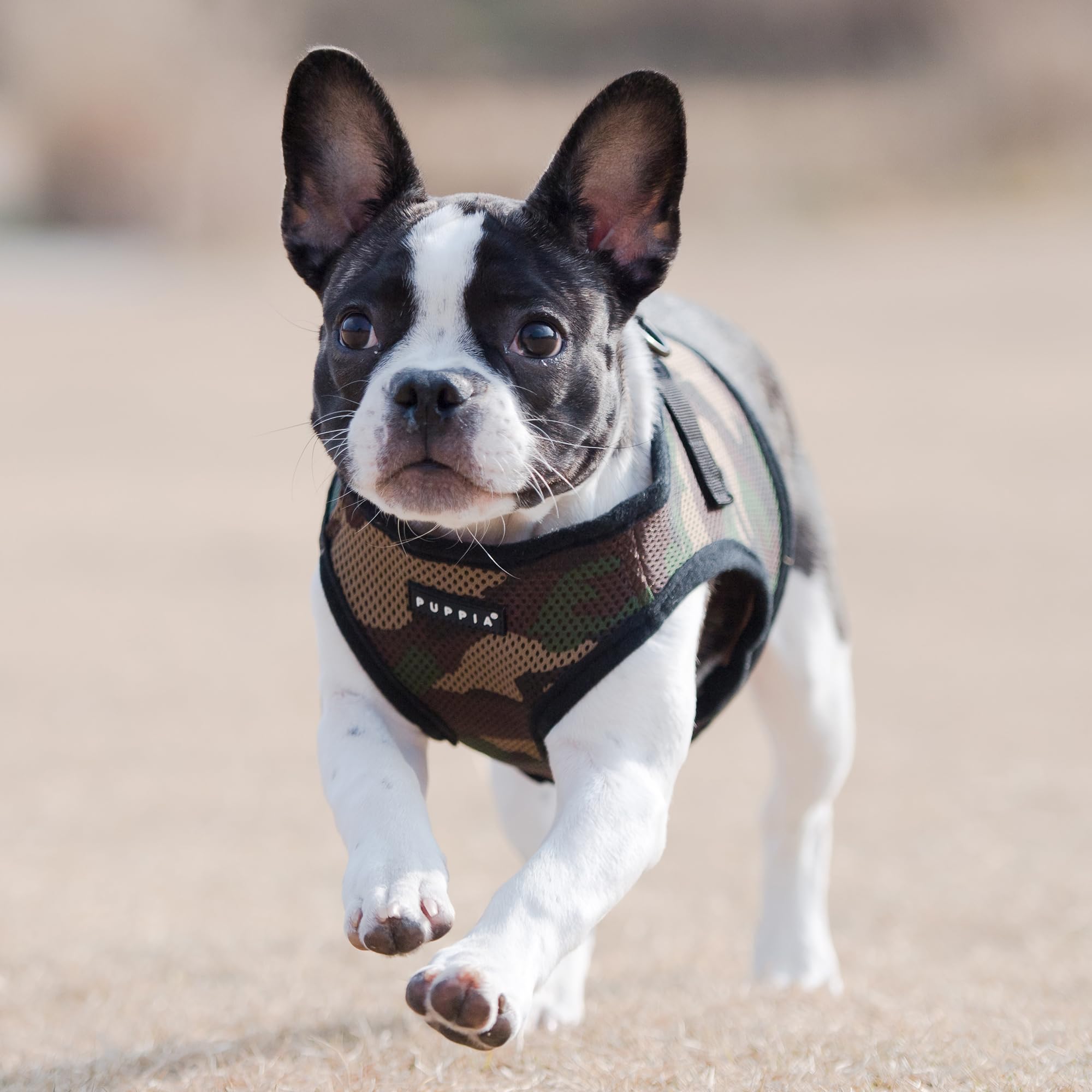 PUPPIA International Harness Soft B Vest, X-Small, Camo