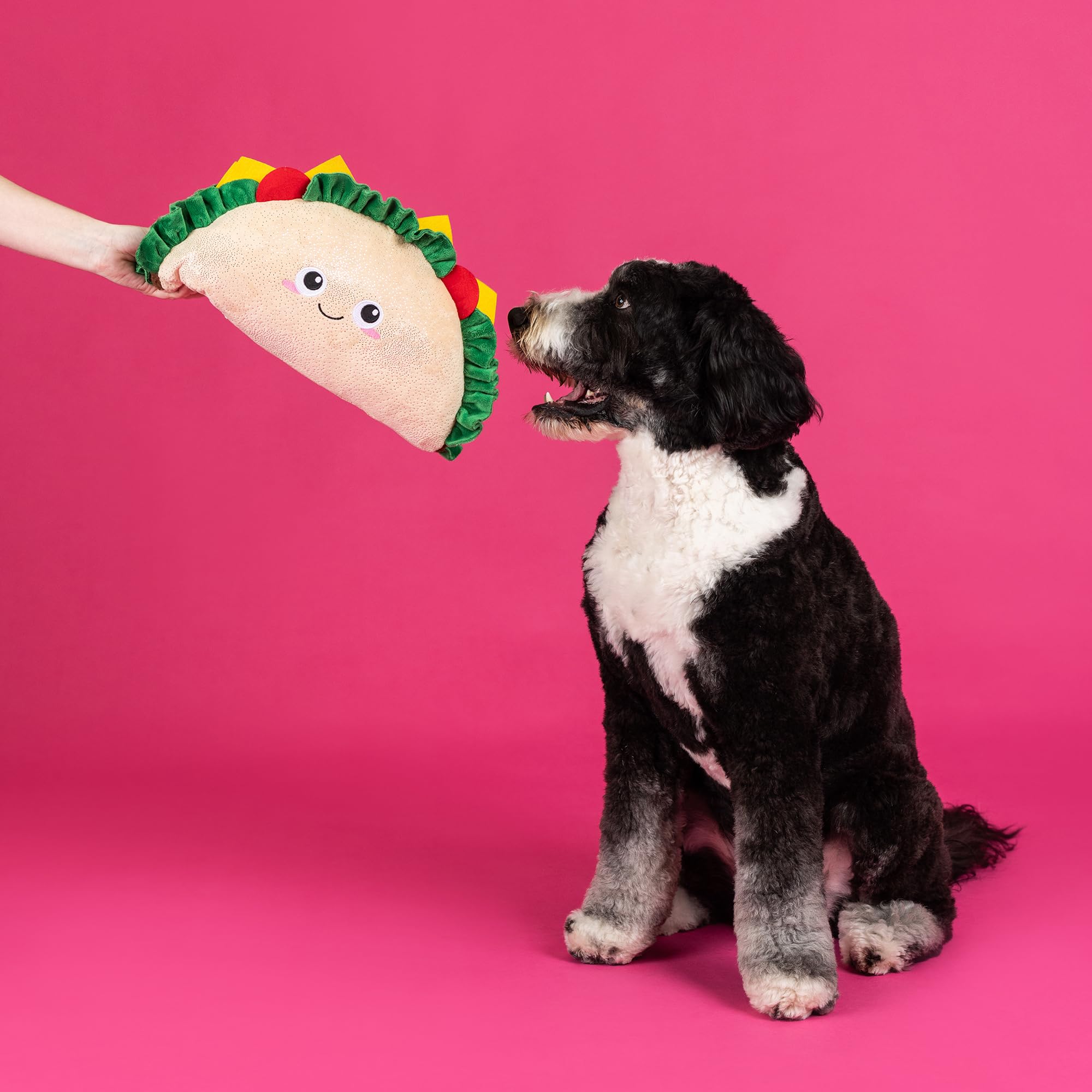 Fringe Studio Large Plush Dog Toy, FANTAS-Taco!, Pet Shop Collection (728023)