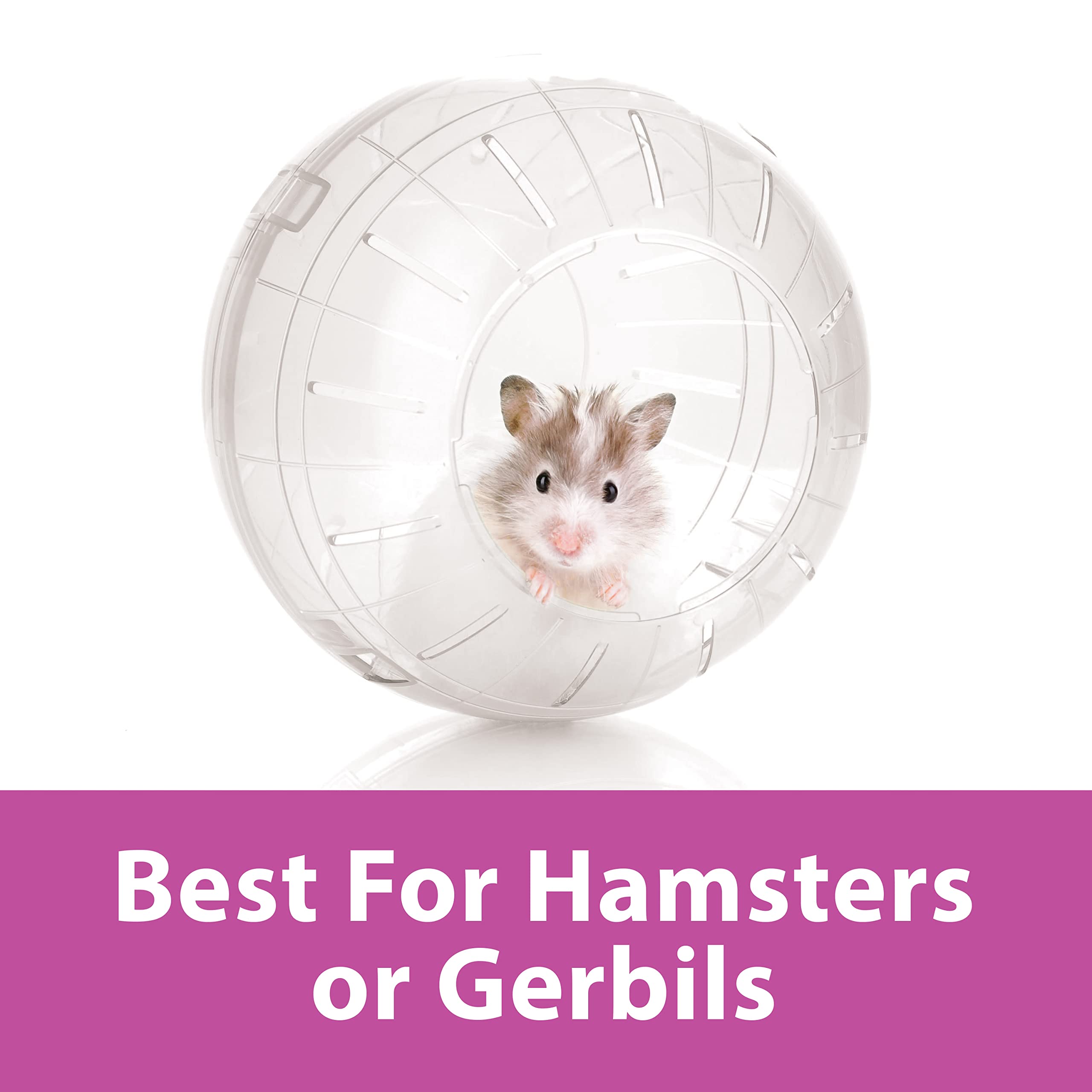 Kaytee 7' Clear Run-About Exercise Ball For Pet Hamsters & Gerbils