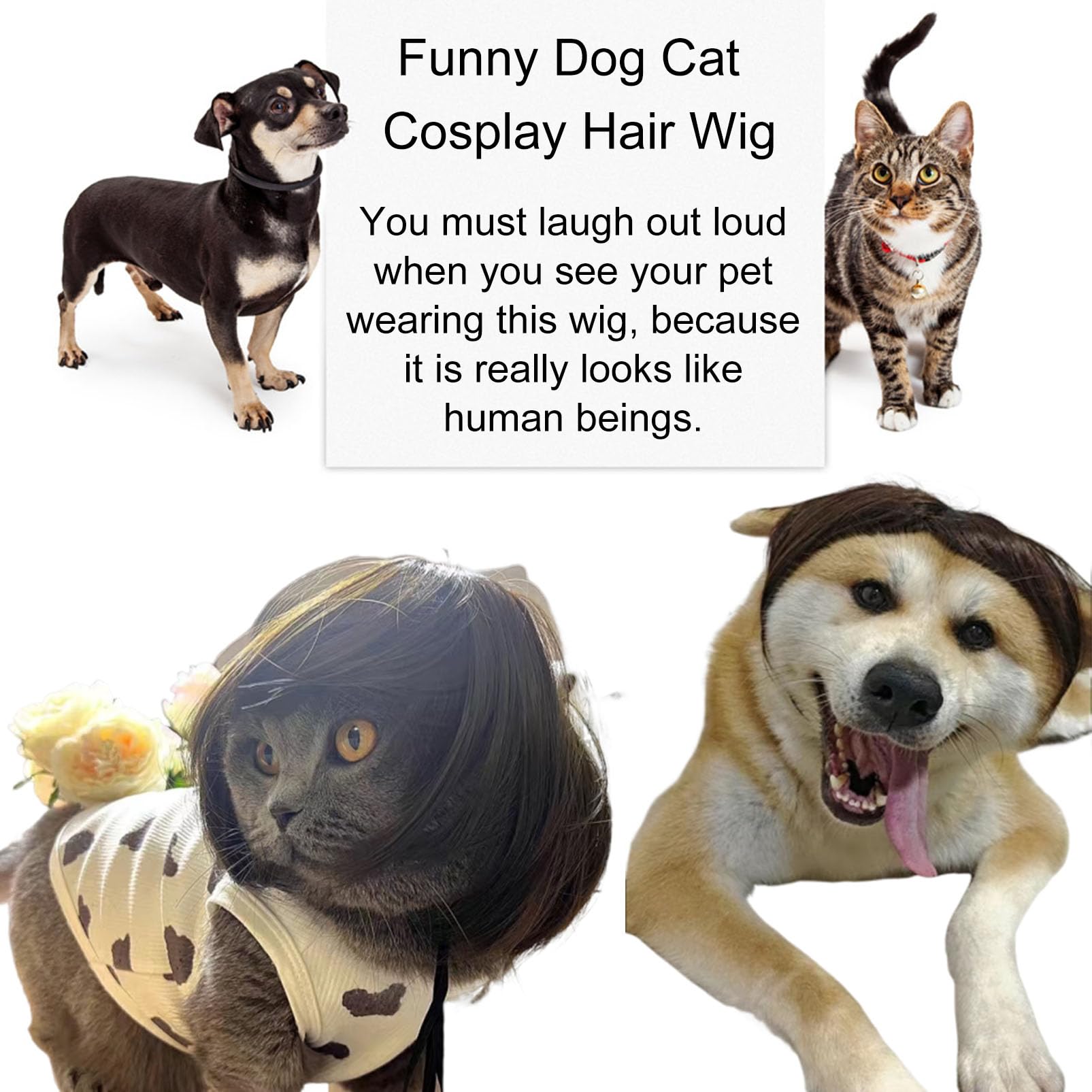 Funny Dog Wig Pet Costumes,Kediciz Cat Costume Synthetic Hairpiece Cosplay Wigs, Headwear For Halloween Christmas Festivals Part