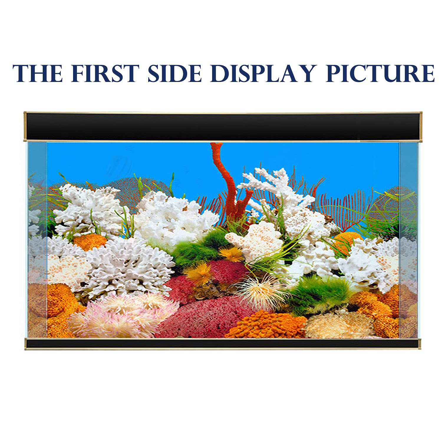 Elebox New 20' X 48' Fish Tank Background 2 Sided River Bed & Lake Background Aquarium