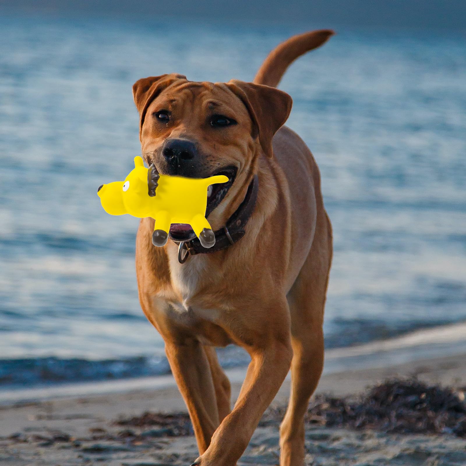 Logofun Dog Squeaky Toy Lion Dog Chewing Toy Latex Puppy Interacting Toy With Squeaker Latex Cartoon Animal Puppy Toy For Pet Su