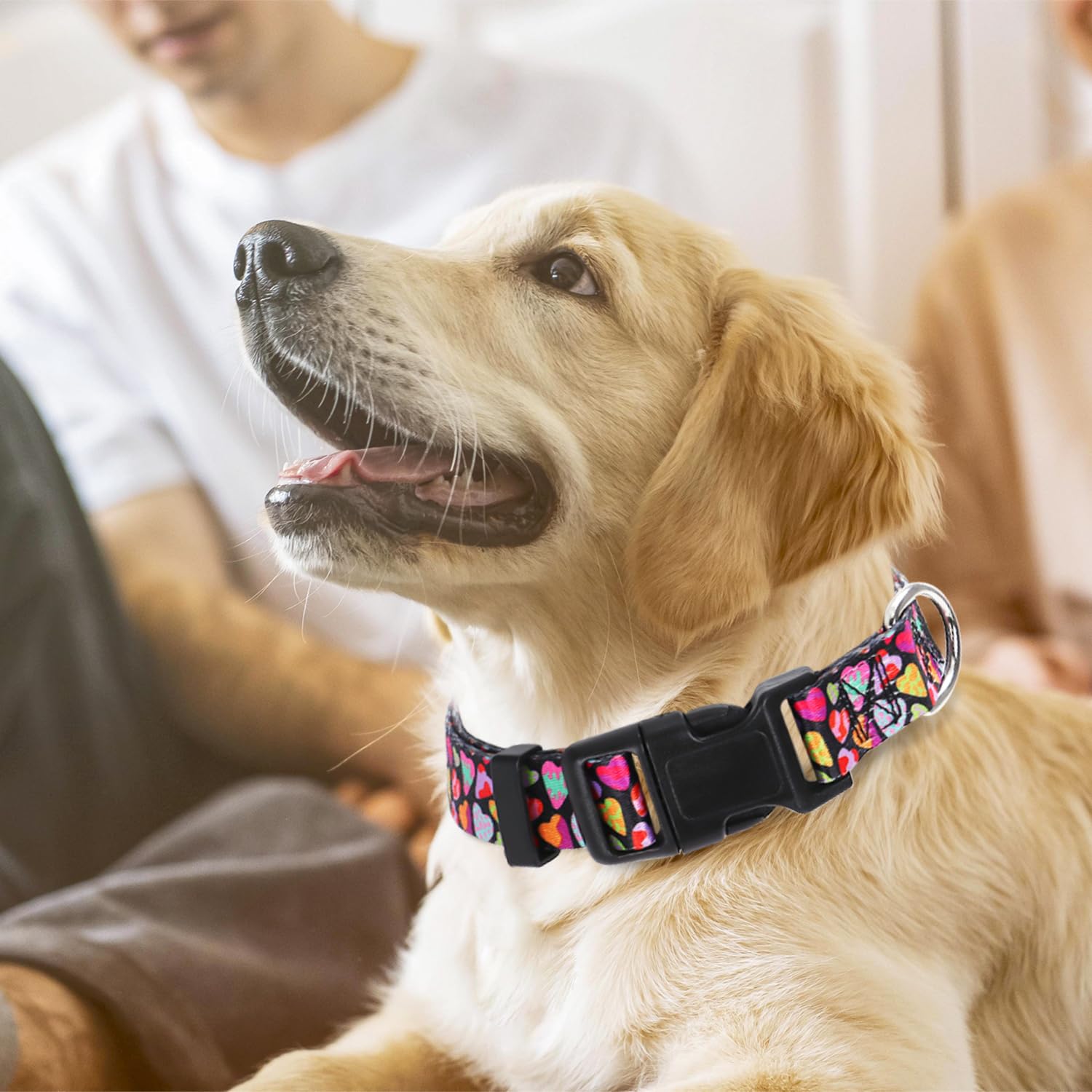 Dog Collar For Medium Dogs With Love Hearts, Pink Girl Boy Dog Collar Adjustable Comfy Wedding Dog Collar With Safety Buckle For