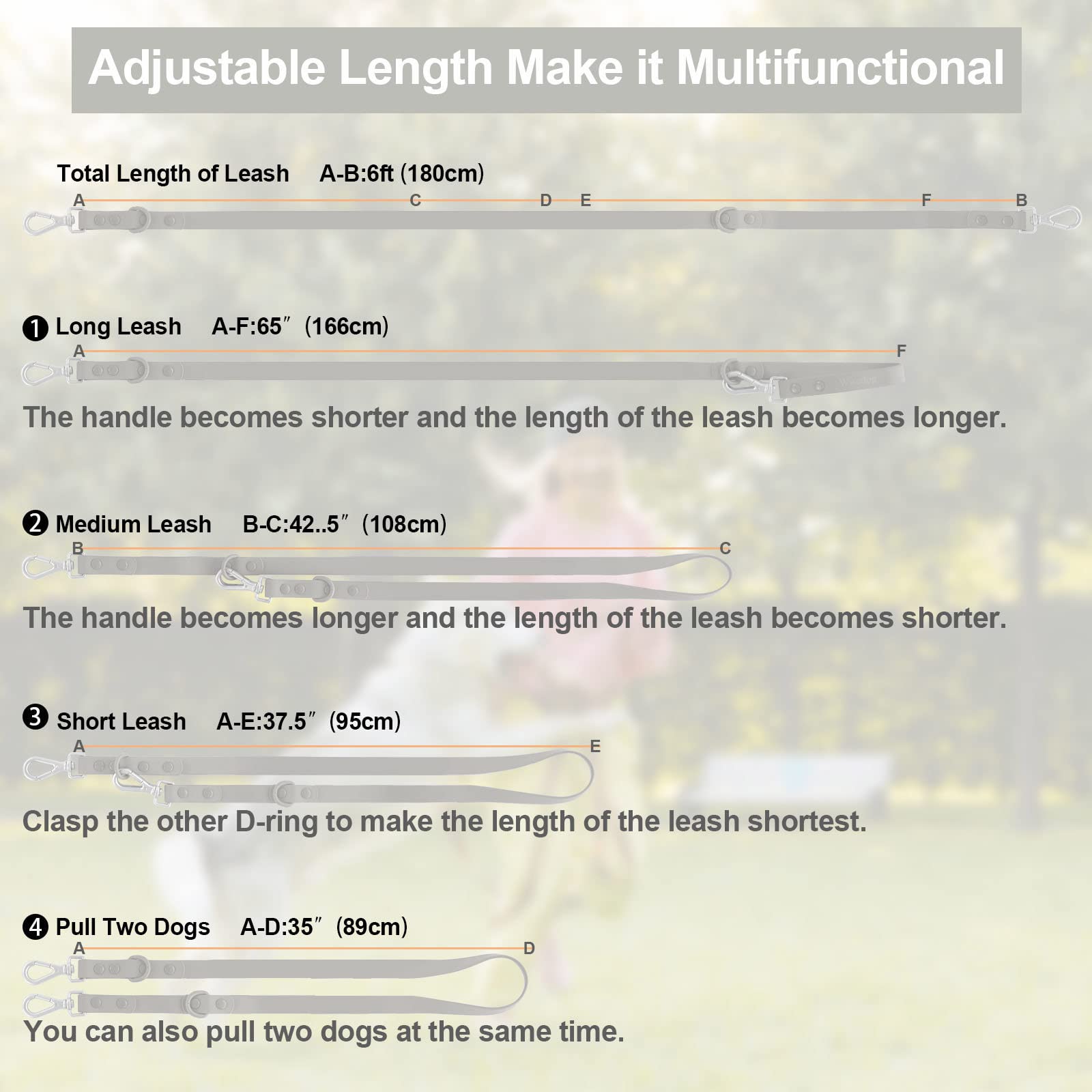 Waterproof Dog Leash: Standard Dog Leashes With 2 Hooks For Walking, Adjustable Lengths For Traffic Control Safety, Durable And Odor Proof, For Medium Large Dogs (L|3/4 In × 6 Ft, Gray)
