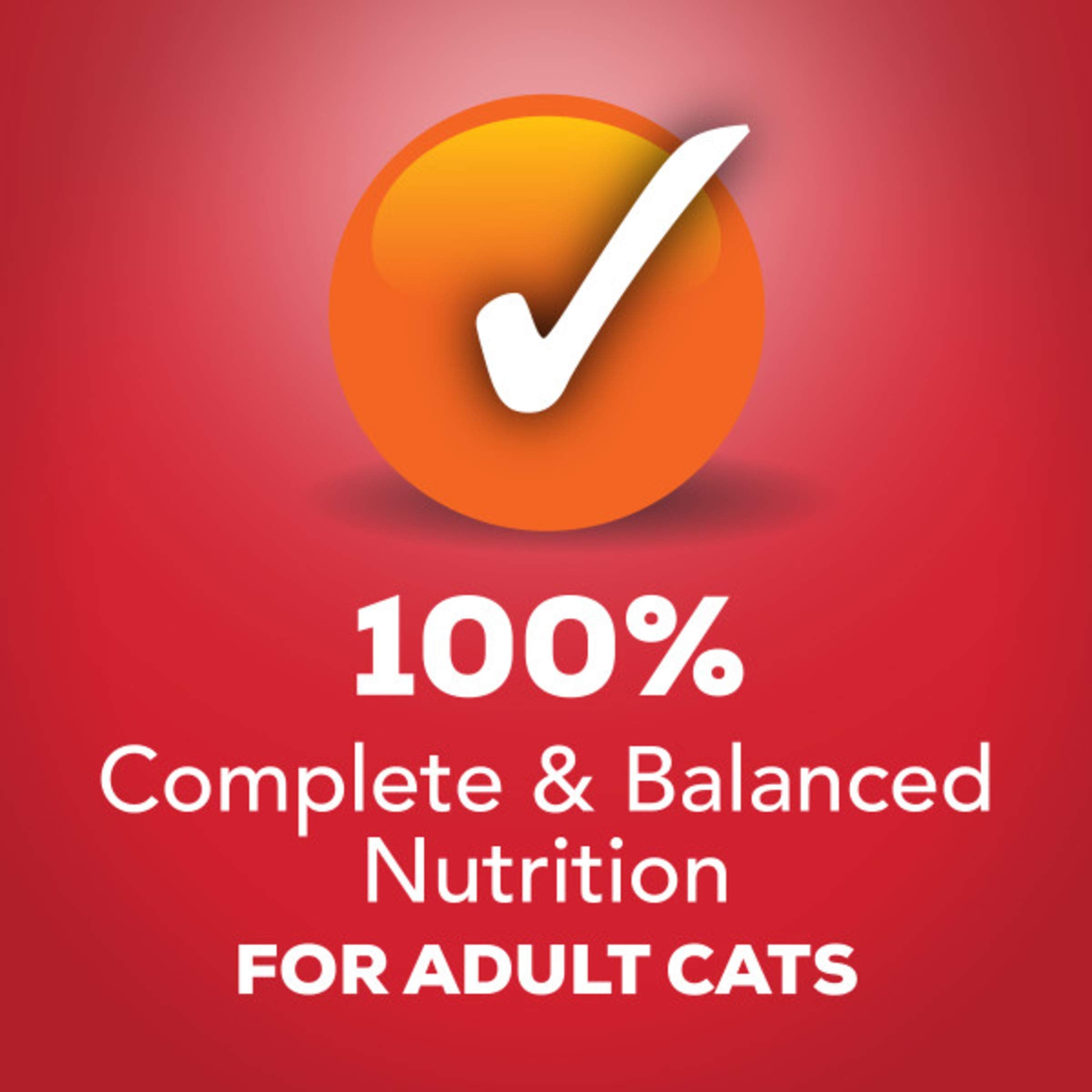 Purina Friskies Gravy Wet Cat Food, Beef Prime Filets, 24 Pack of 5.5 oz Cans