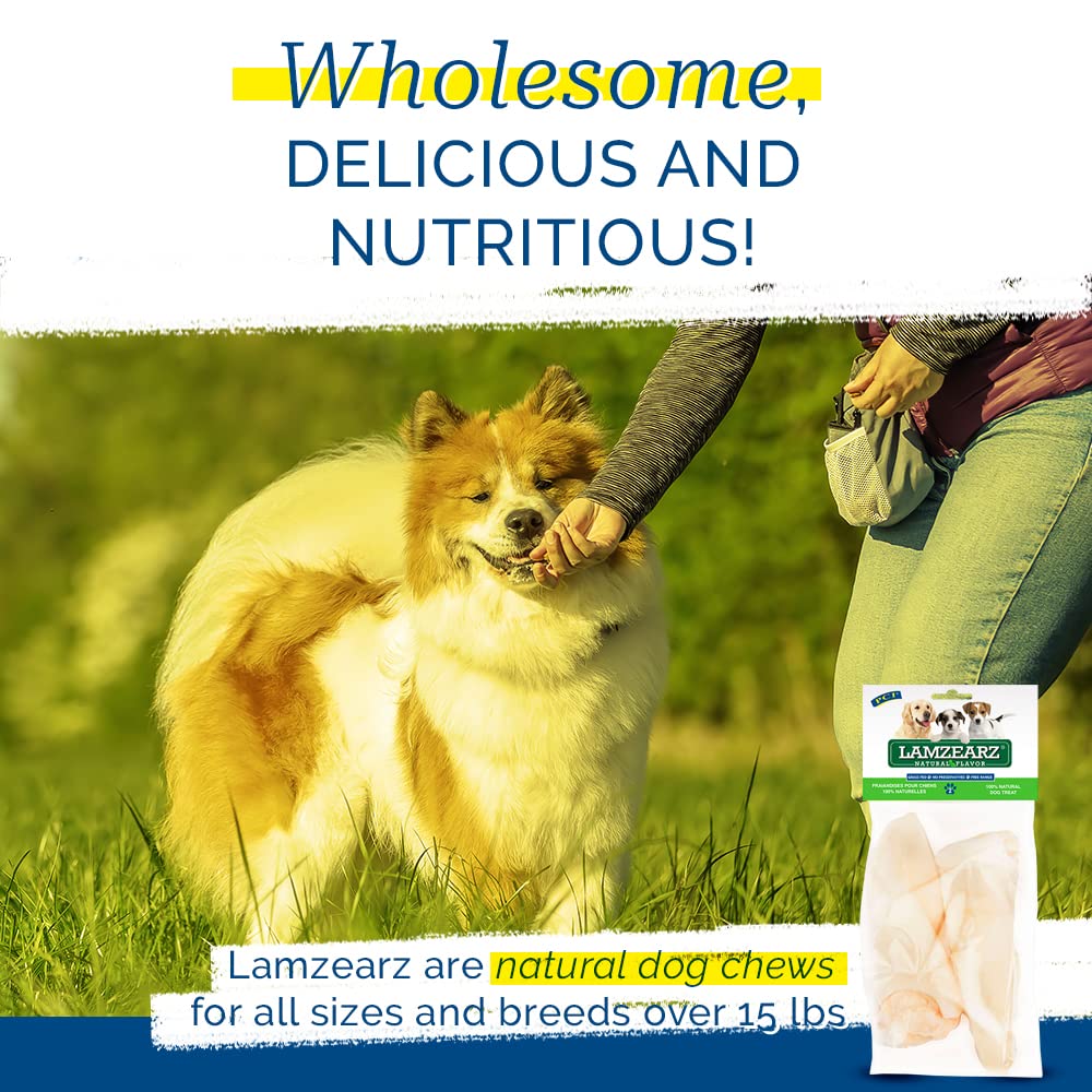 PCI Lamzearz Premium Lamb Ear Dog Treats - 10 Pack, 8 Ounce, Natural Chew for Dogs