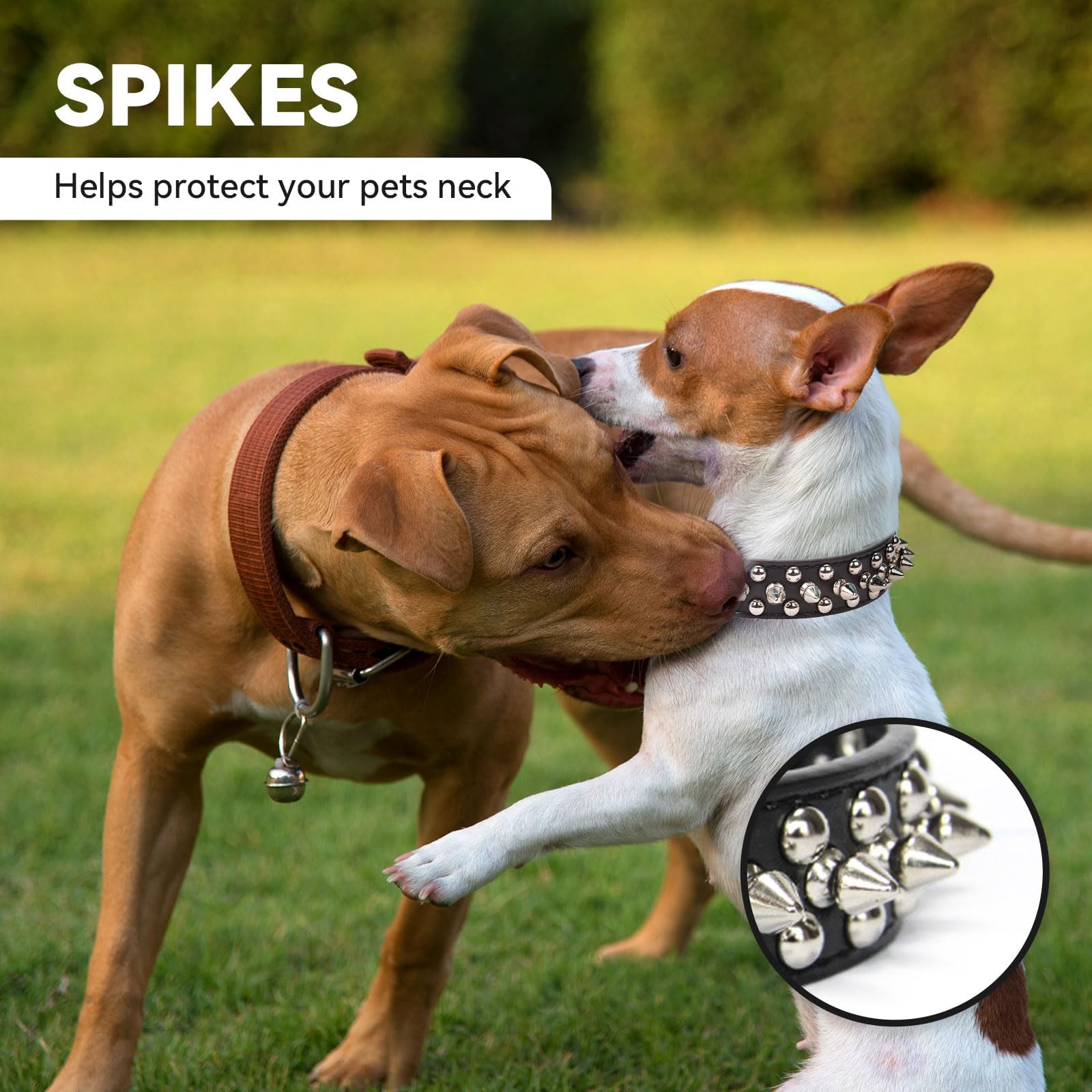 Doggyzstyle Small Spiked Black Dog Cat Collar For Small Medium Dogs Boy Male - Adjustable Studded Puppy Collars - Soft Padded Pu
