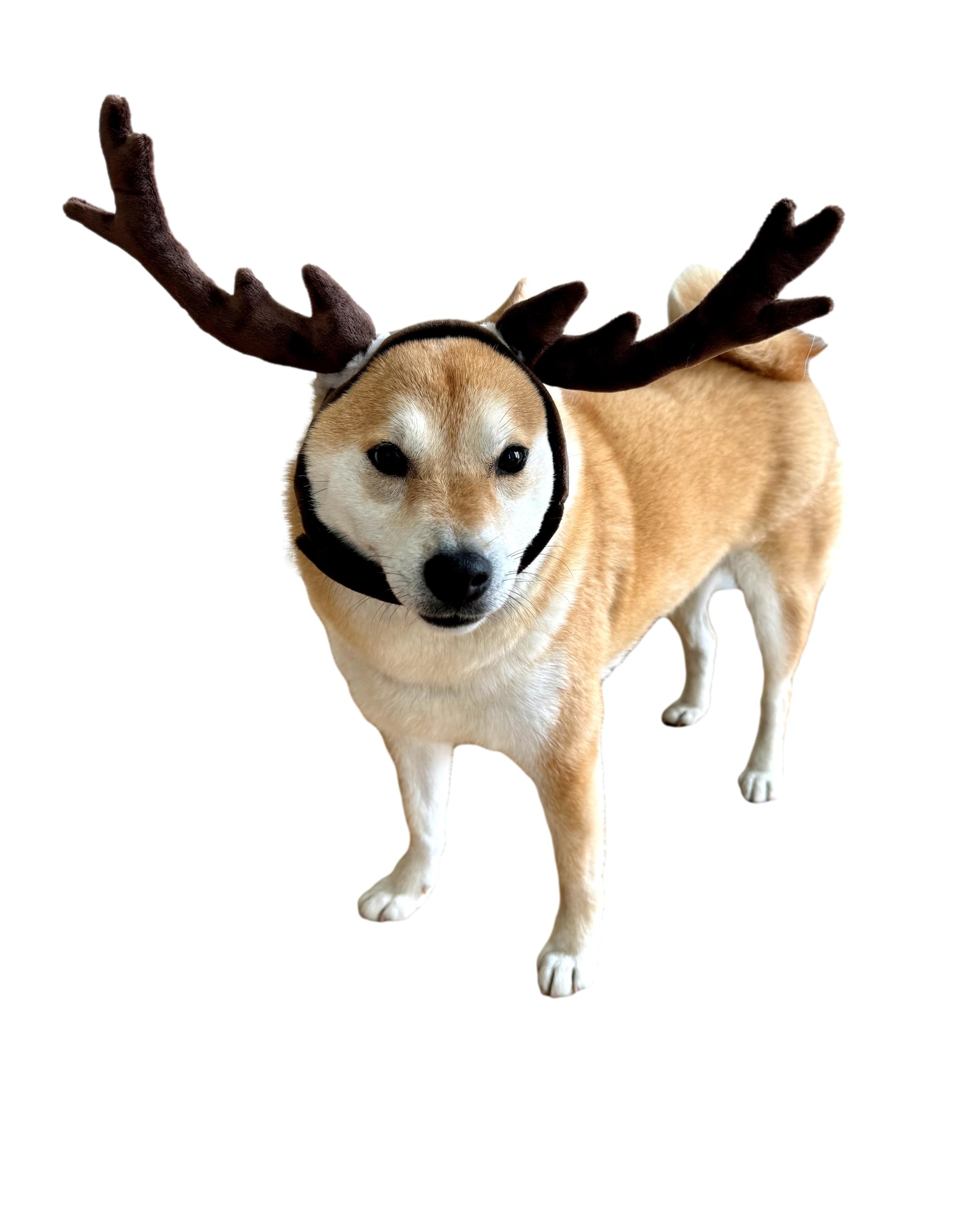 Comfycamper Reindeer Dog Headpiece - Elk Deer Antlers X Large Xxl Animal Cosplay Halloween Costumes Christmas, M