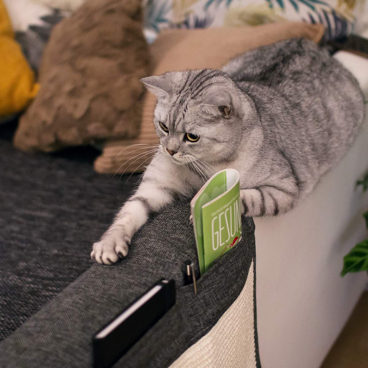 Navaris Cat Scratch Armrest Organizer - Sisal Furniture Protector Scratching Pad For Cats - Scratcher Mat Cover For Sofa Couch Armchair - Dark Gray